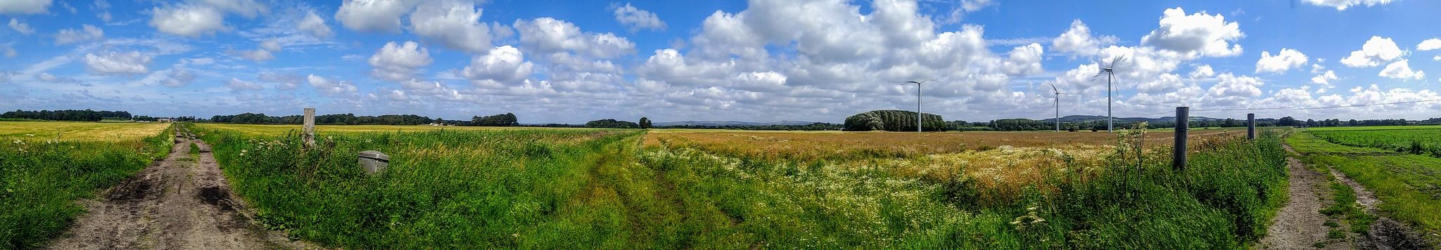 Croston Moss