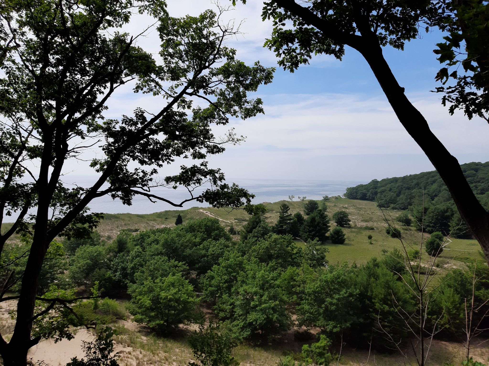 View through dark tree branches of green hills and distant water under a cloudy sky. - Rosy Mound Natural Area loop