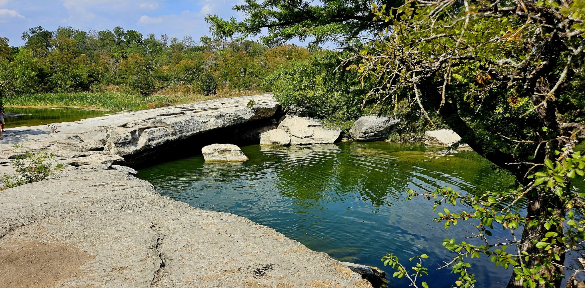 Rocky river with green water, lush trees, and a person standing. - Onion Creek Hike and Bike Trail