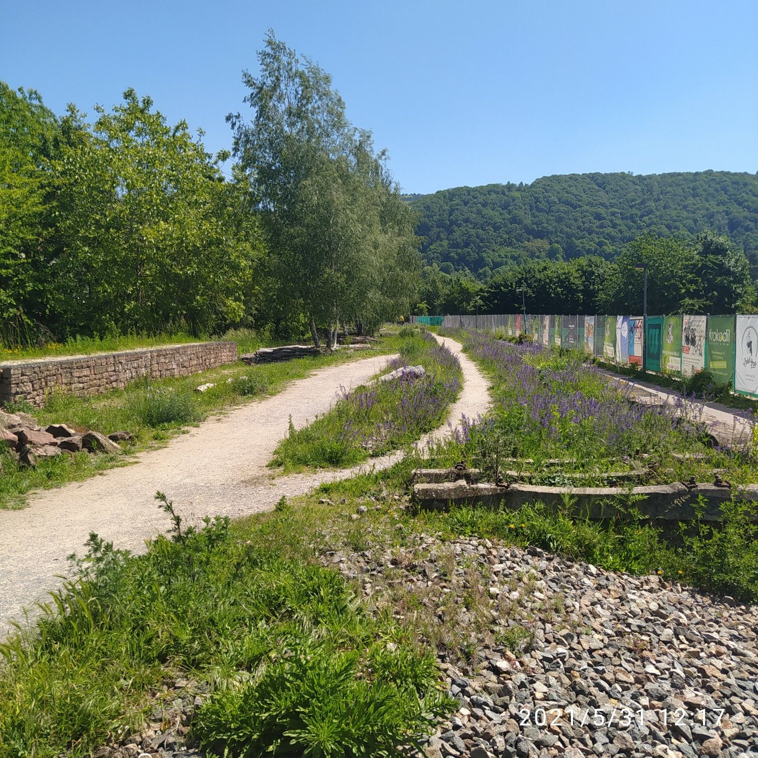 Naturschutz 1. Klasse👍