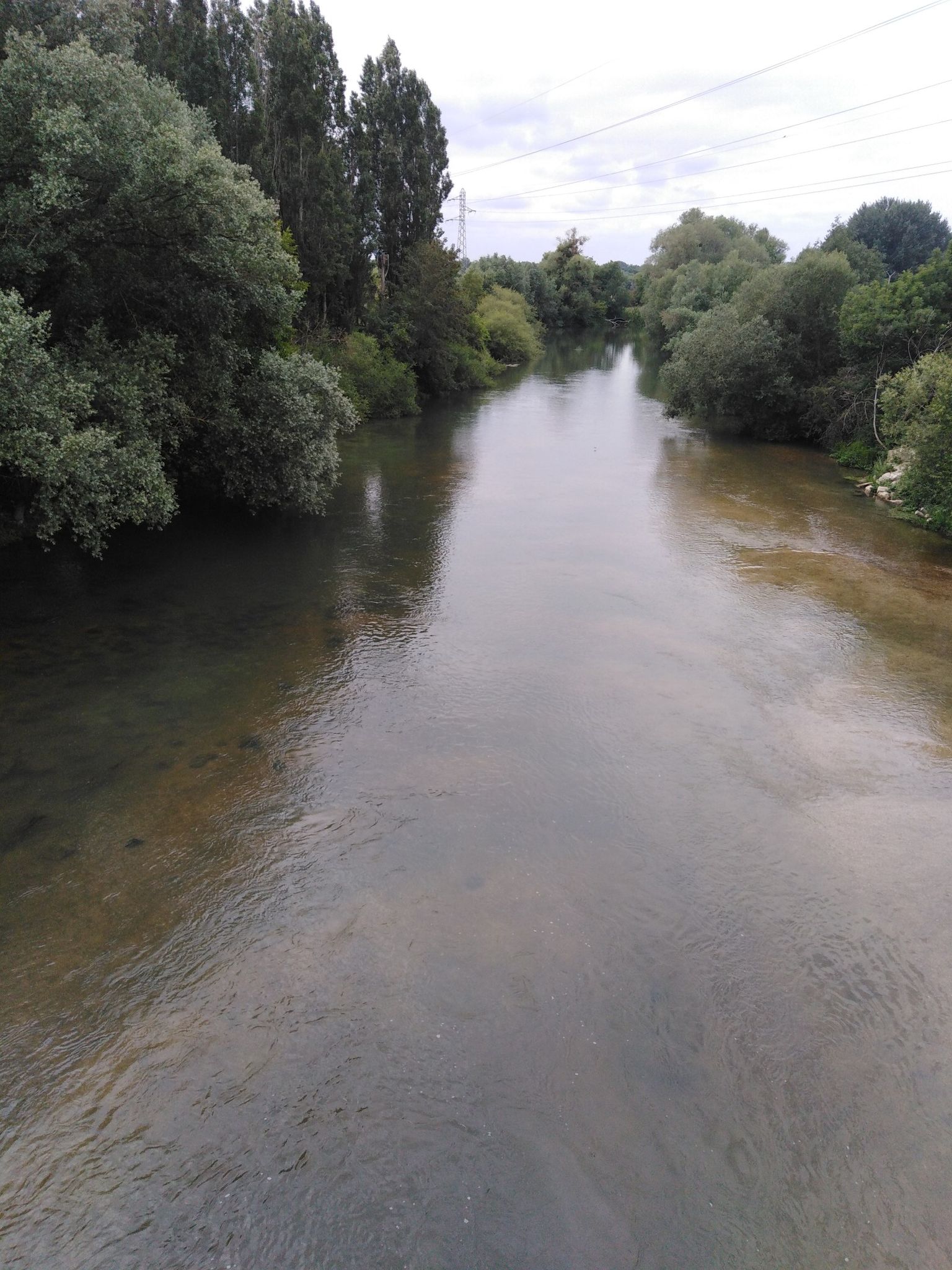 L'Armançon à Cheny. Un de ces petits cours d'eau sauvage qui maillent le pays