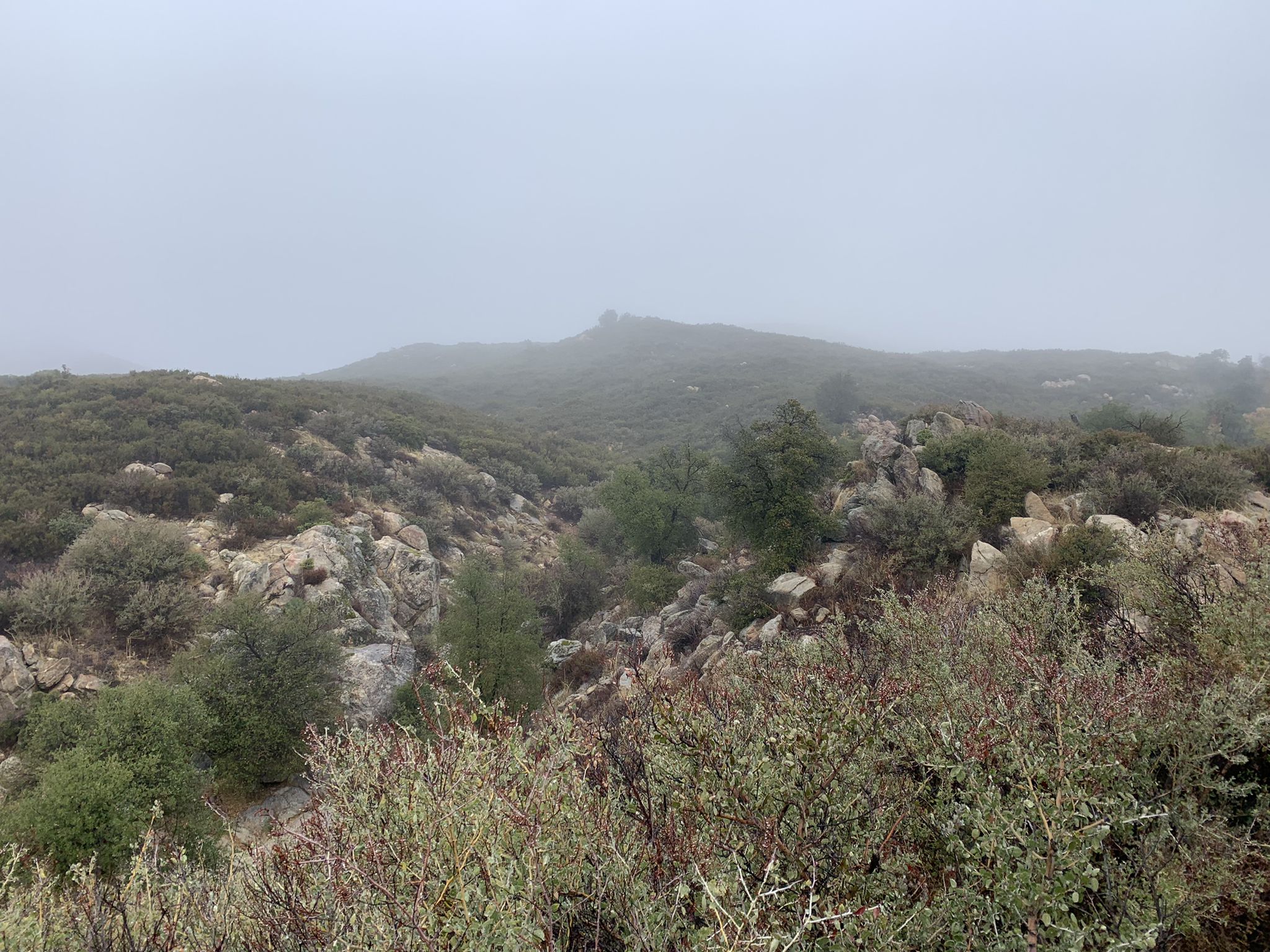 A rocky, scrub-covered landscape with hills disappearing into a dense fog. - Eastside Trail – Upper Descanso Creek Trail loop from 11