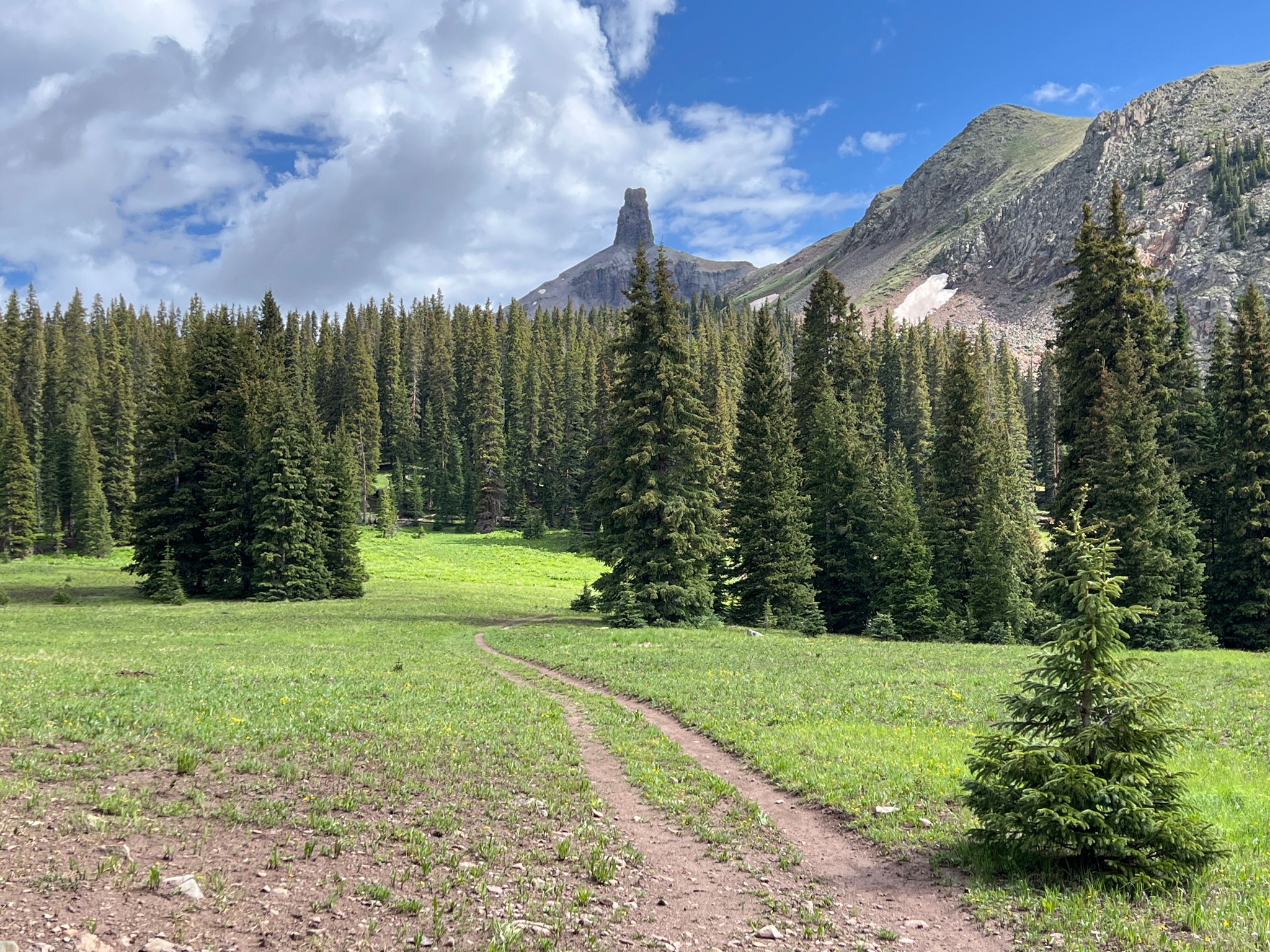 Dirt path through a green meadow leading to a forest and rocky peak. - Cross Mountain Trail