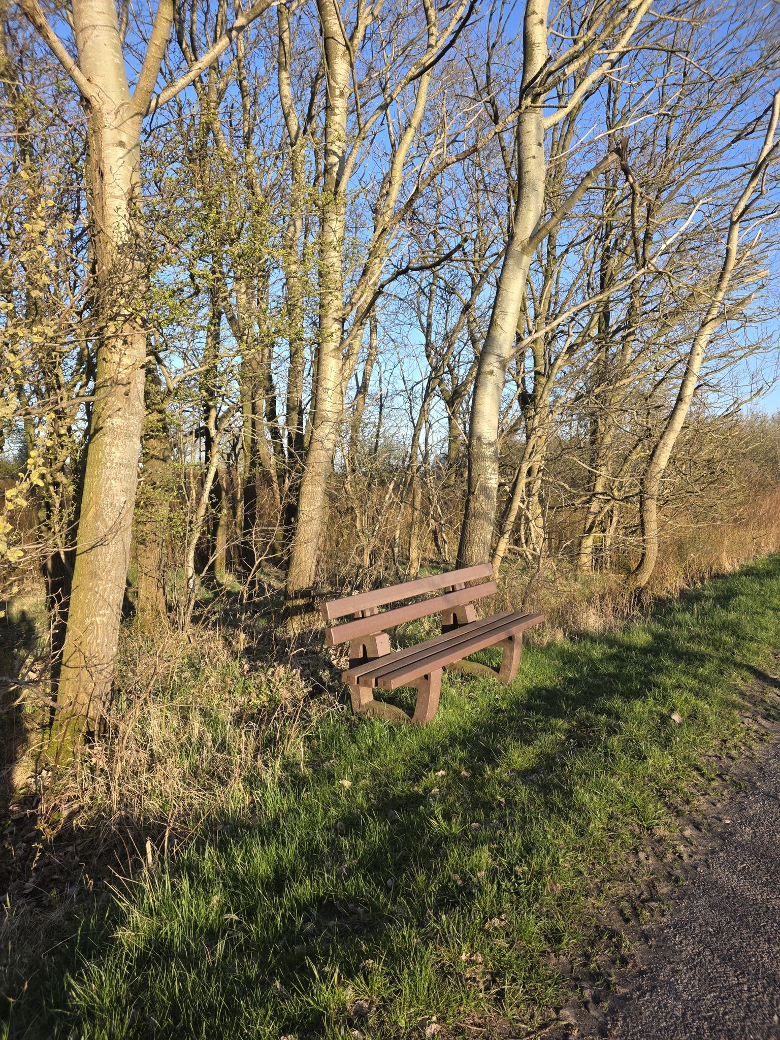 Bank mit Abendsonne