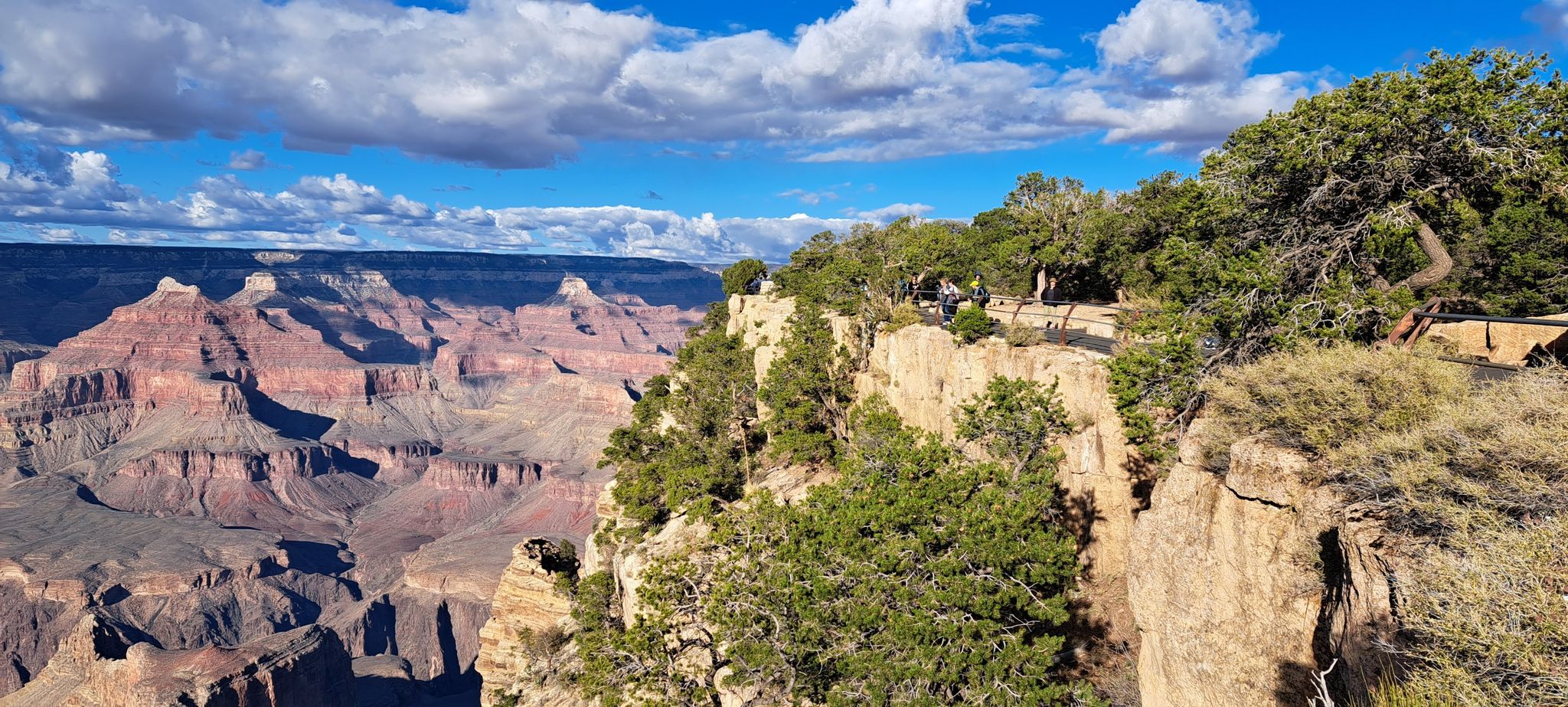 Scenic overlook of a vast canyon with layered rock, green trees, and people. - Hopi Point viewpoint – Mohave Point loop from Kolb Studio