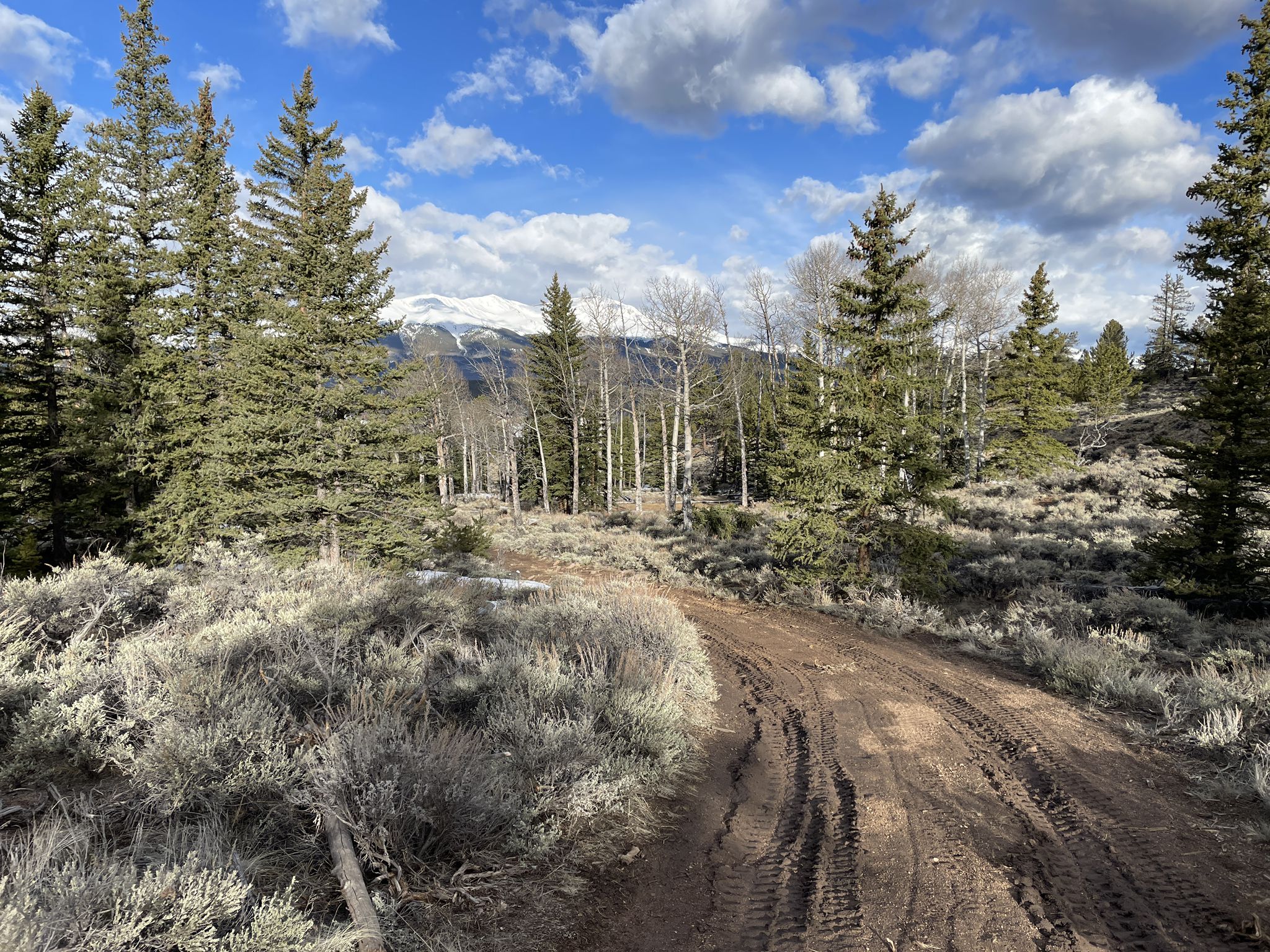 A dirt road winds through a forest towards snowy mountains under a cloudy sky. - Granite Loop