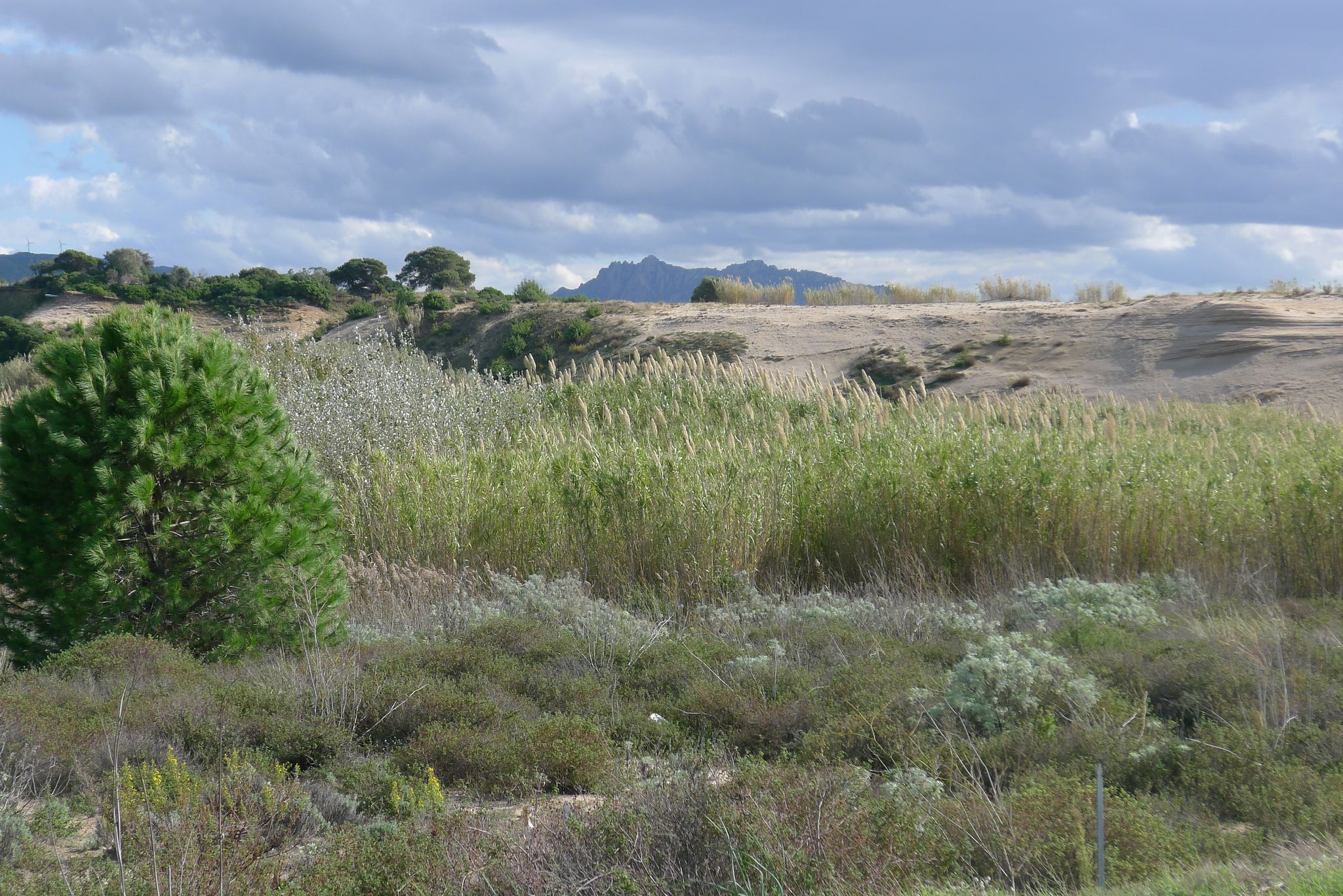 Dünenlandschaft