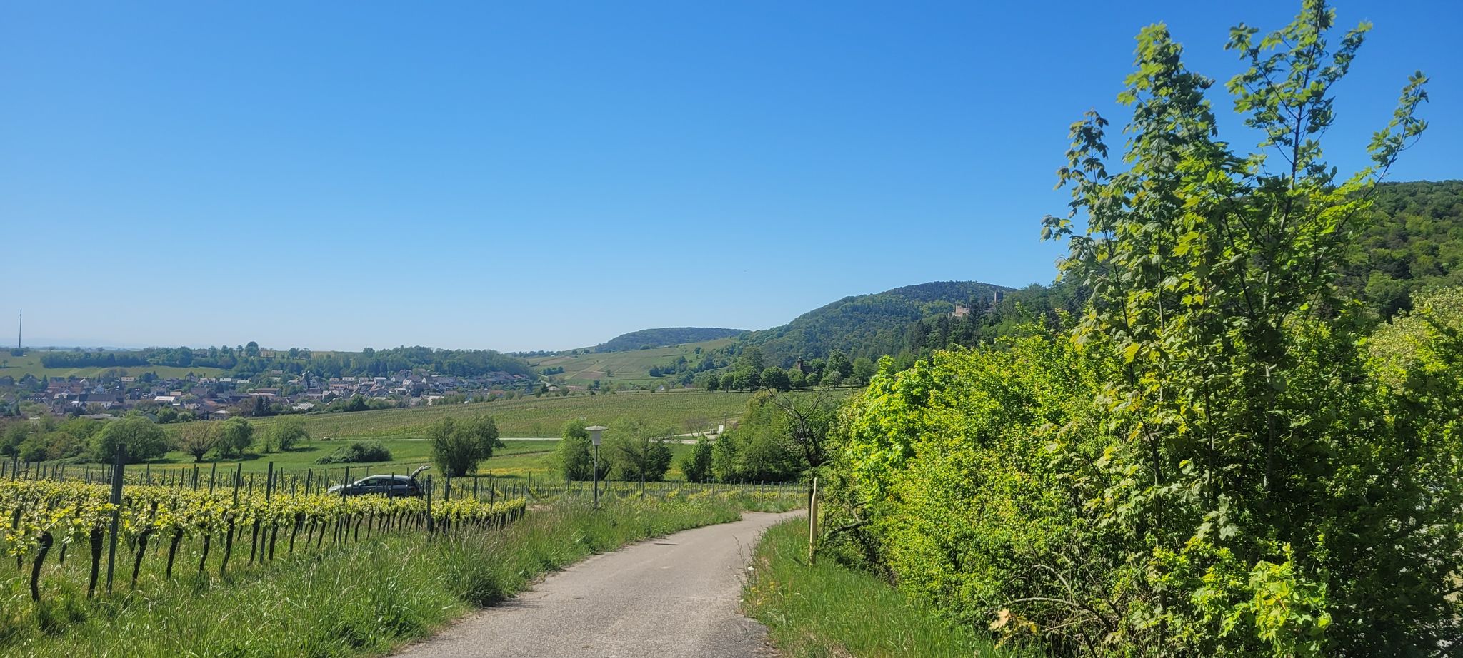 Burg Landeck