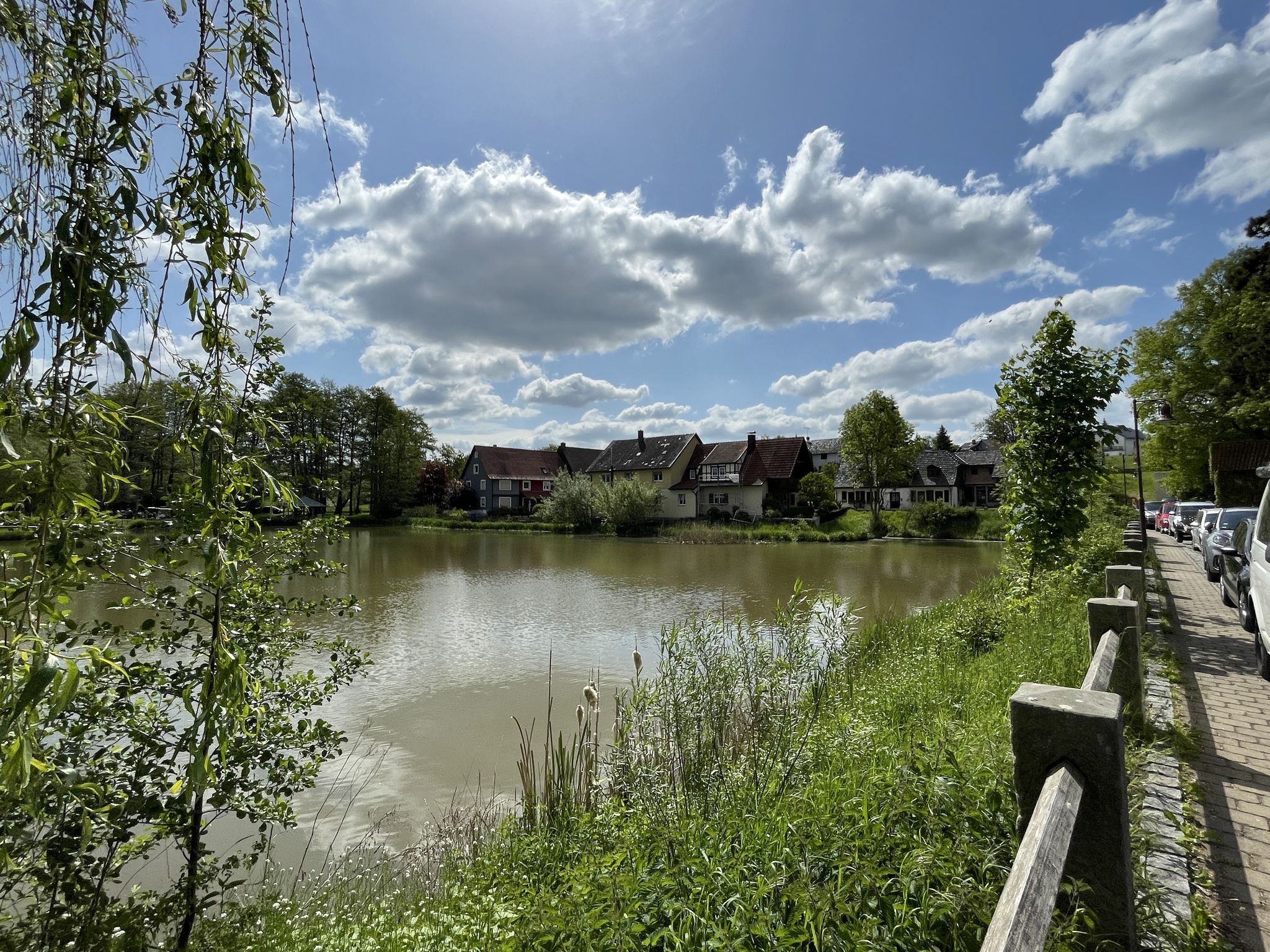Untersiemauer Dorfteich