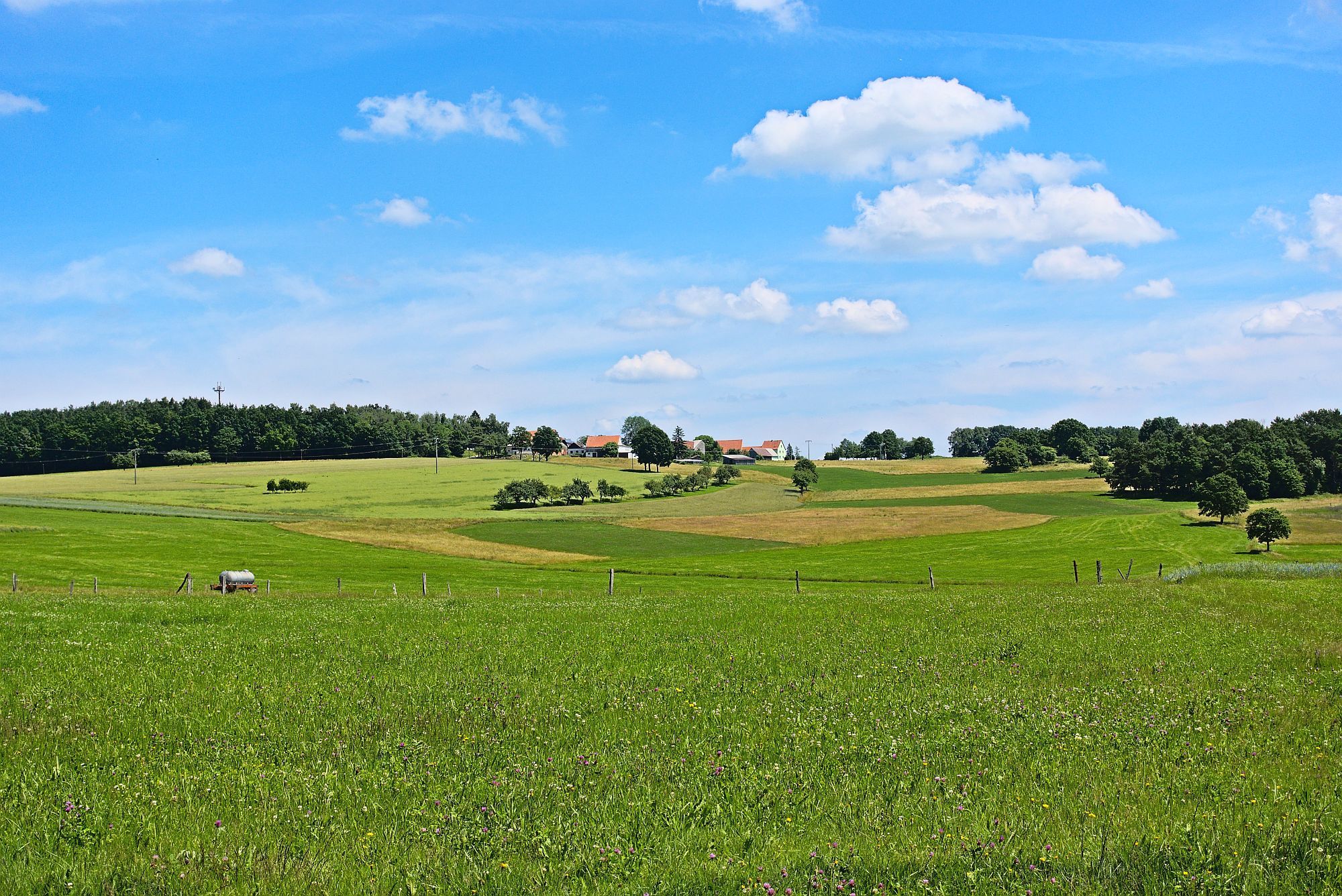 Ausblick bei Untergeiersnest