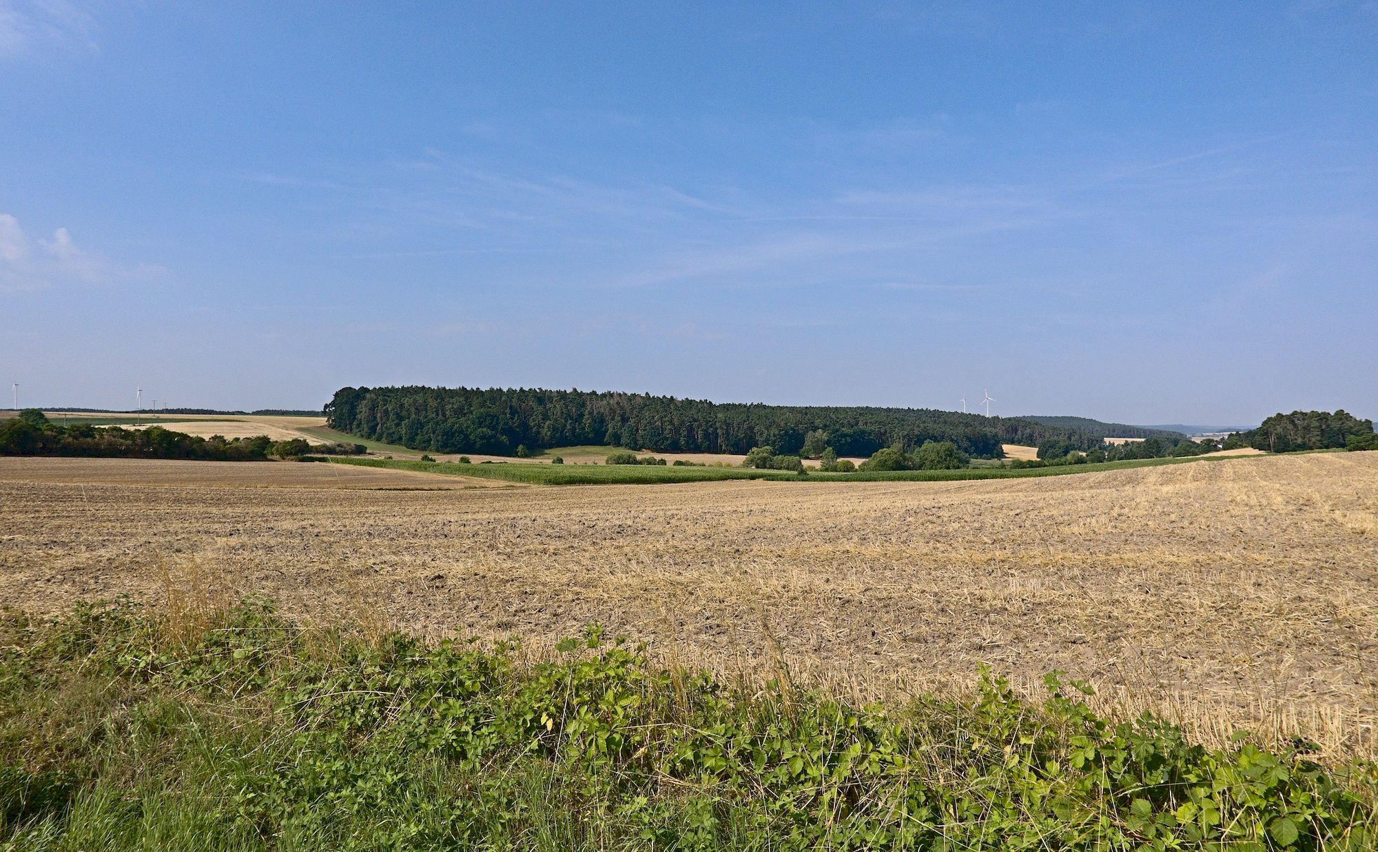 Ausblick auf dem Fränkischen Karpfen-Radweg