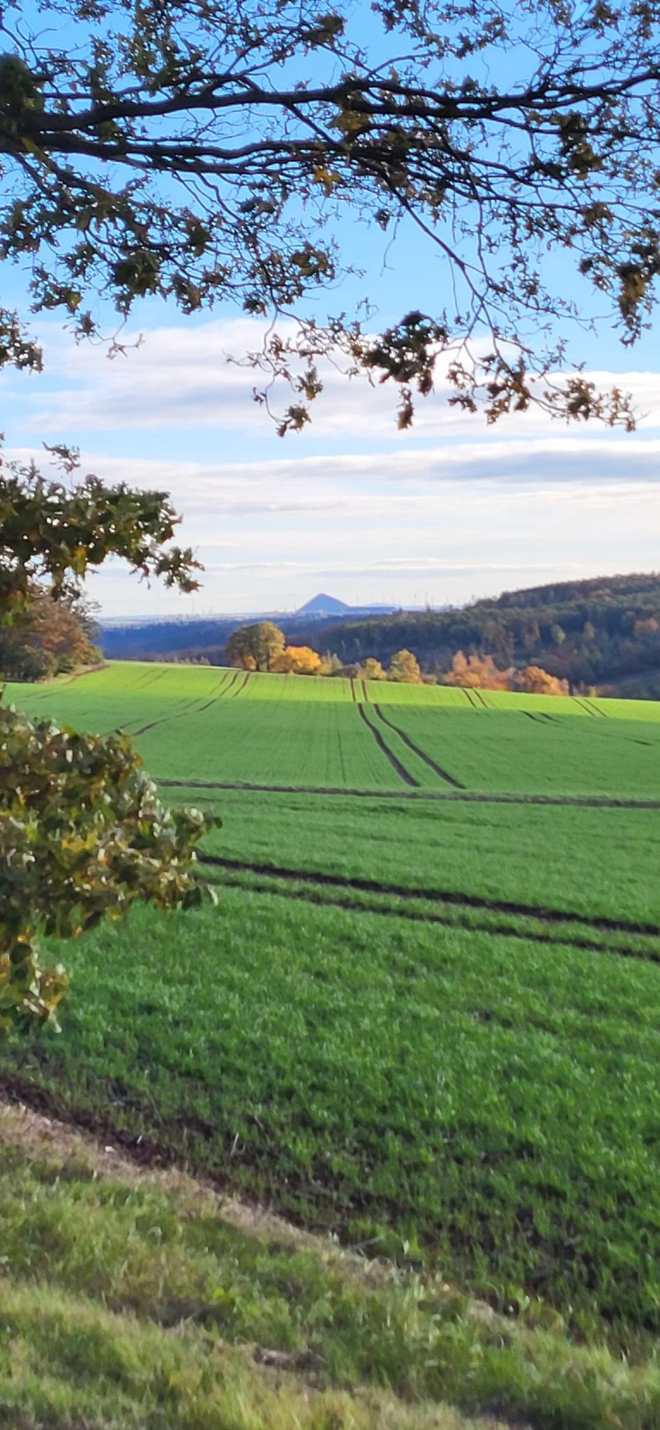 Herbst Im Mansfelder Land