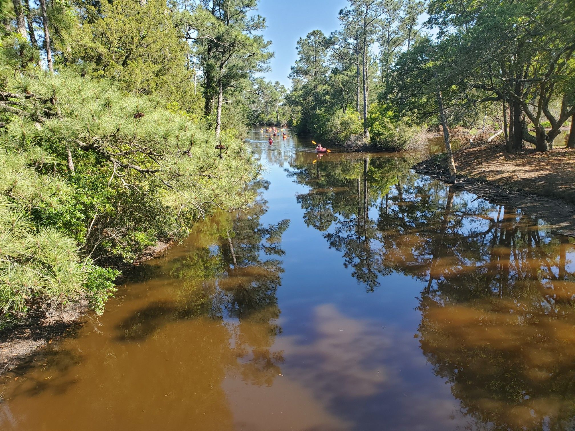 Kayakers paddle a dark water channel lined with green trees on a sunny day. - David Paul Pruitt Jr. Multi-Use Trail