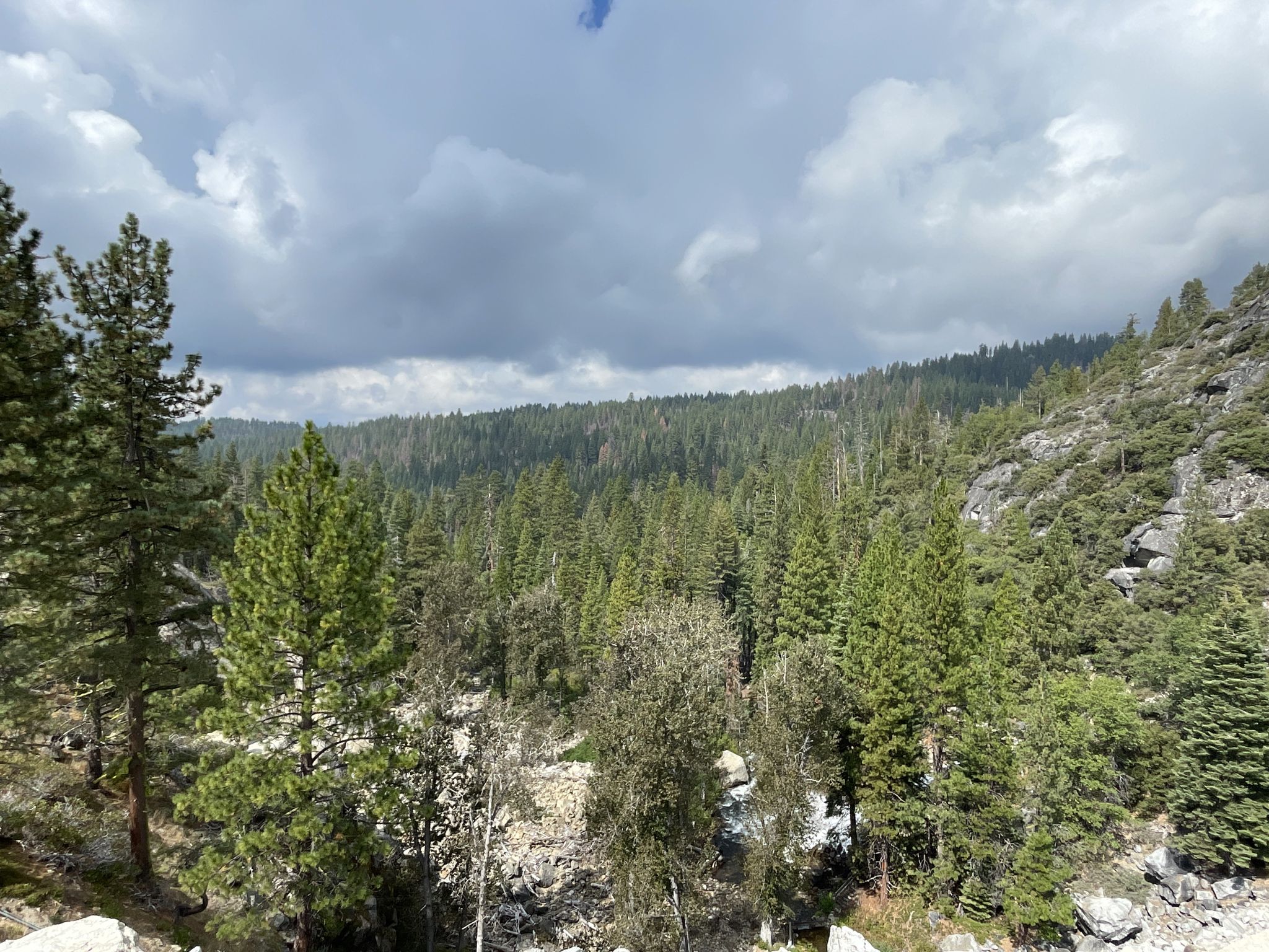 Dense pine forest covering hills under a cloudy, overcast sky. - Pinecrest Lake – Strawberry Dam loop from Strawberry