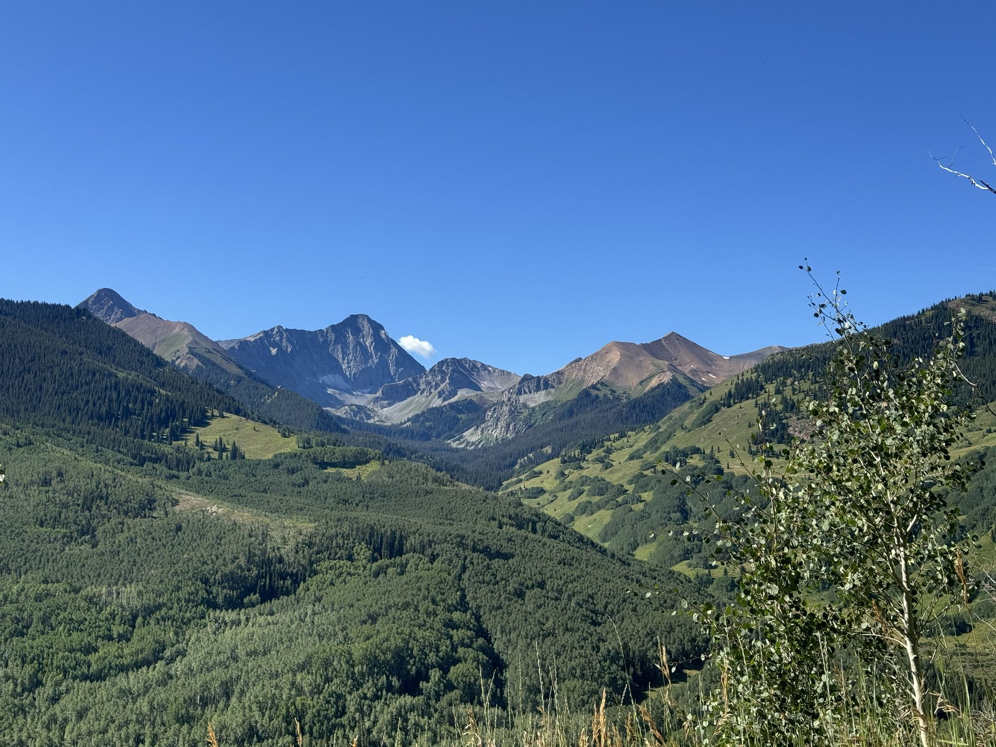 Majestic mountains and forested valleys under a clear blue sky. - Lower Capital Trail to Capital Creek Road Loop
