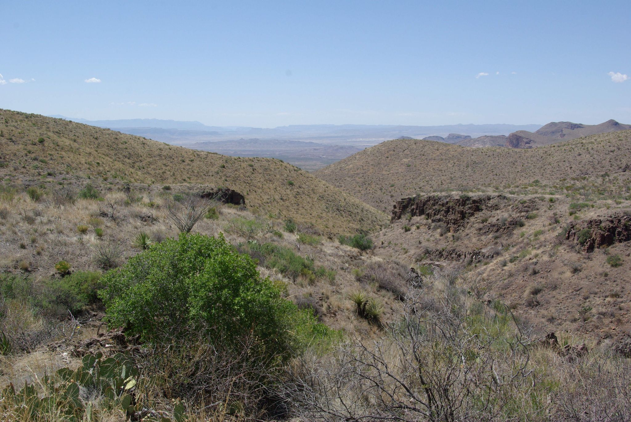 A wide desert valley with rolling hills and sparse vegetation under a clear sky. - Homer Wilson Trail