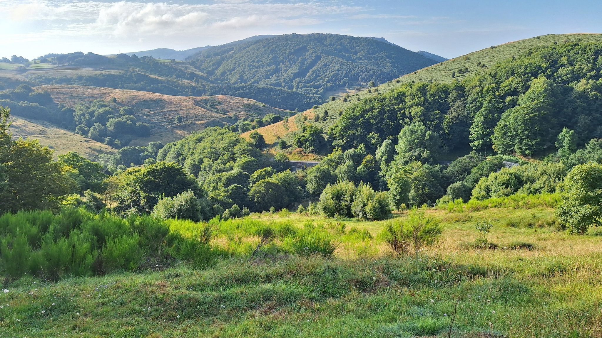 Vallée de la Volane