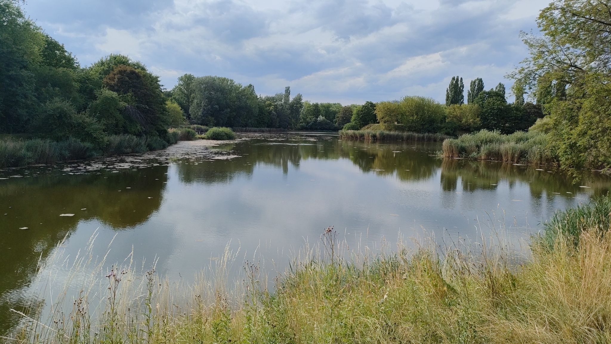 Park Szczęśliwicki