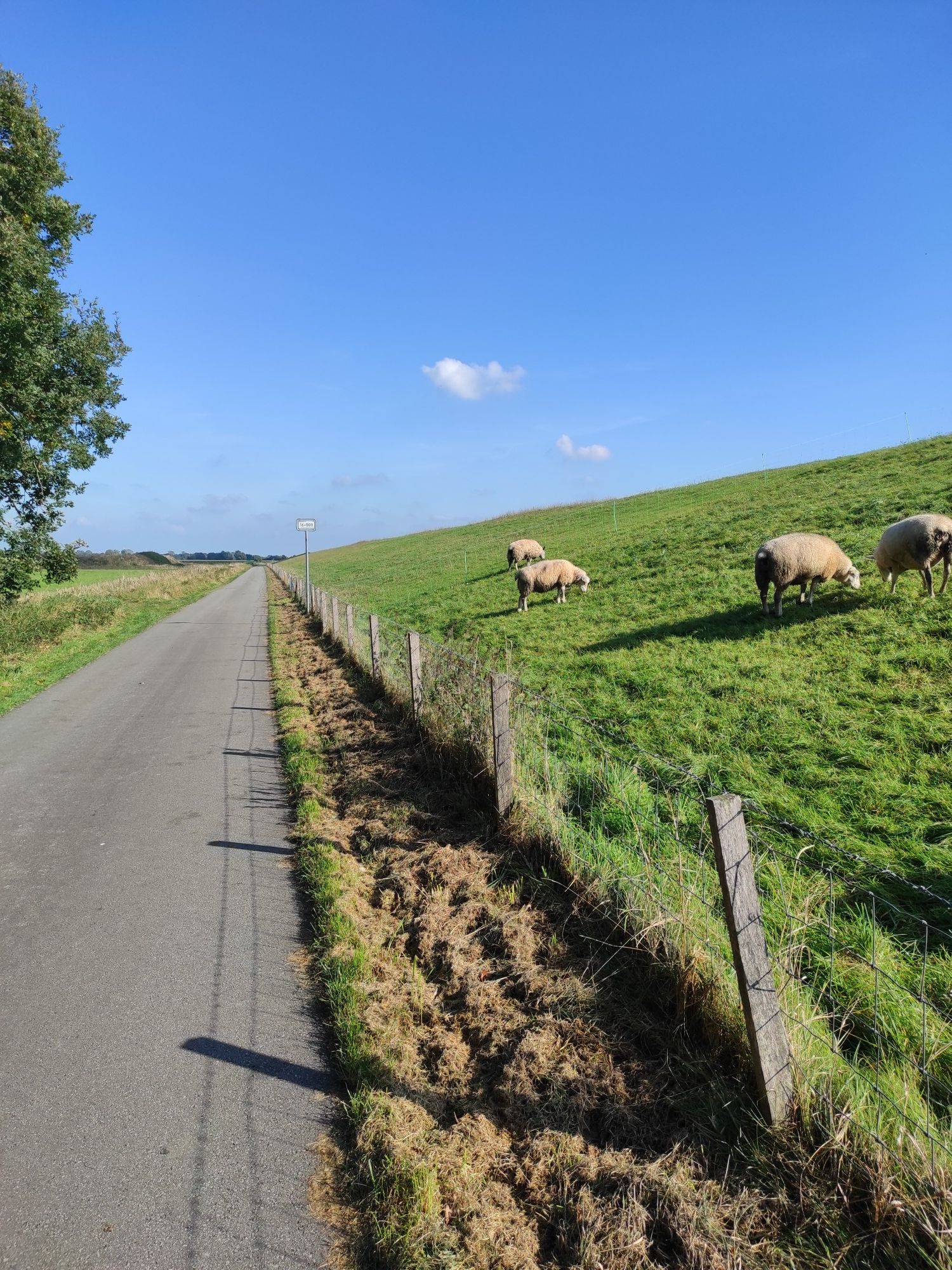 Wollsteine am Deichfahrradweg