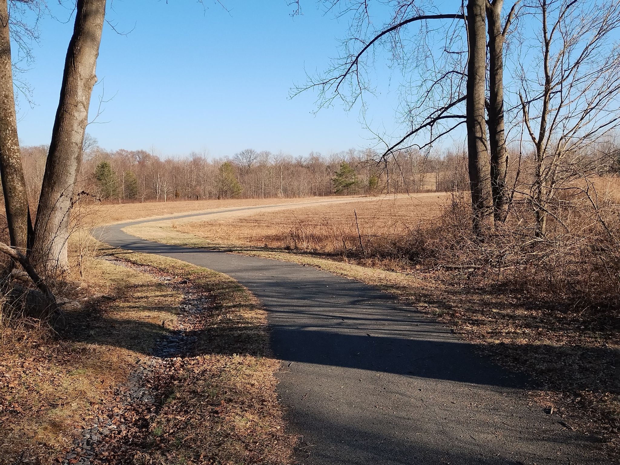 Paved path curving through a dry, open field with trees under clear sky. - North Branch and Kengla Trail Loop