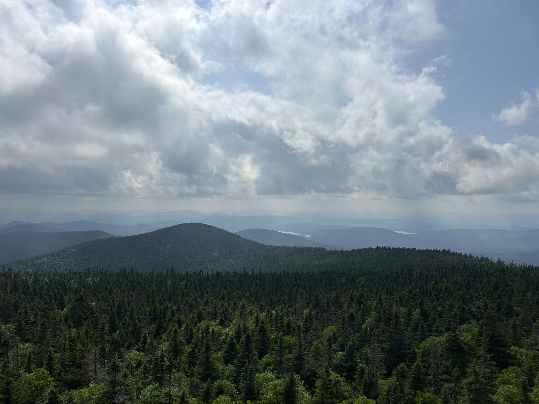 Dense green forest covers mountains under a dramatic, cloudy sky. - Wakely Mountain Trail