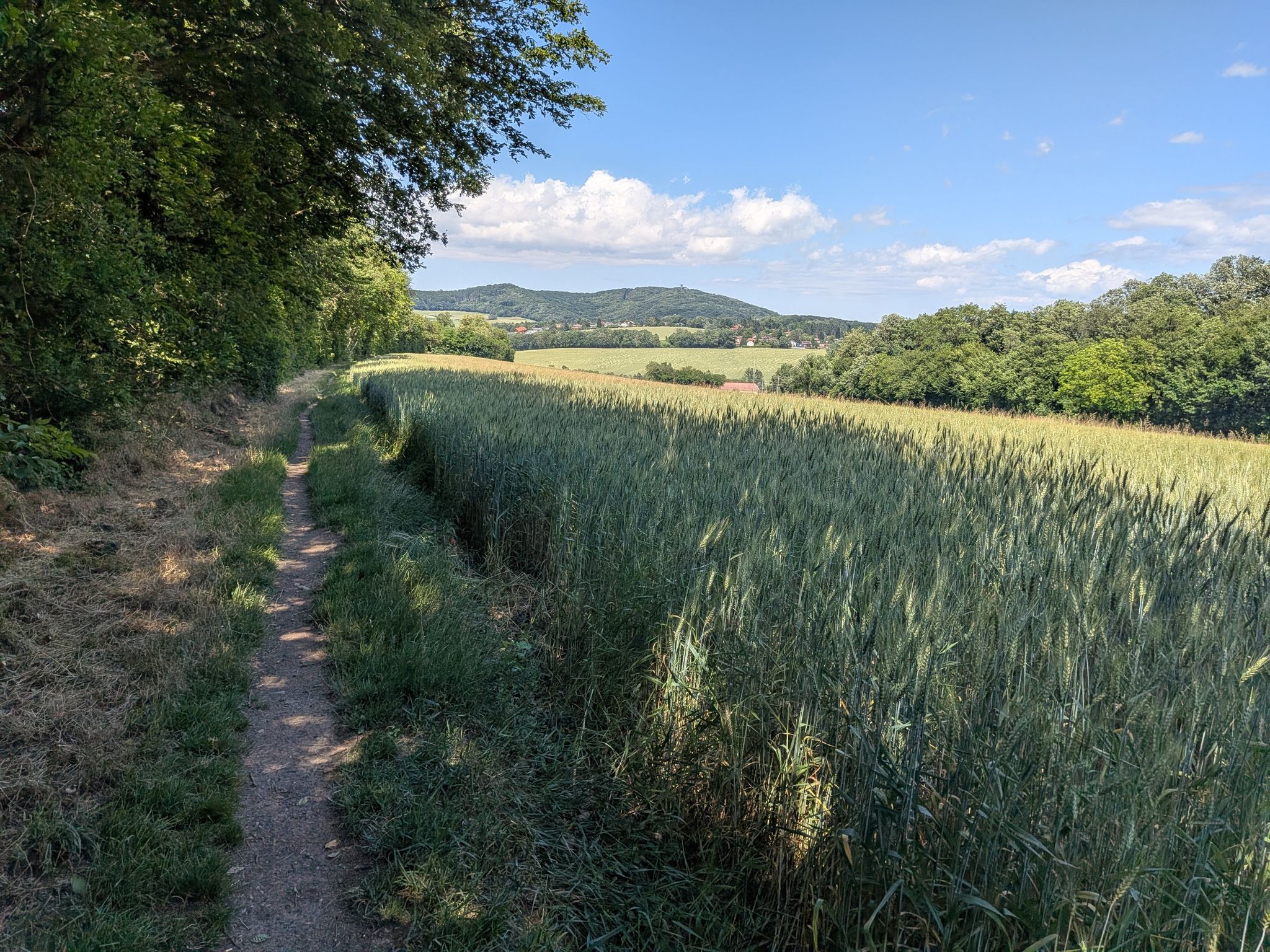 Buchbergwarte in Sicht