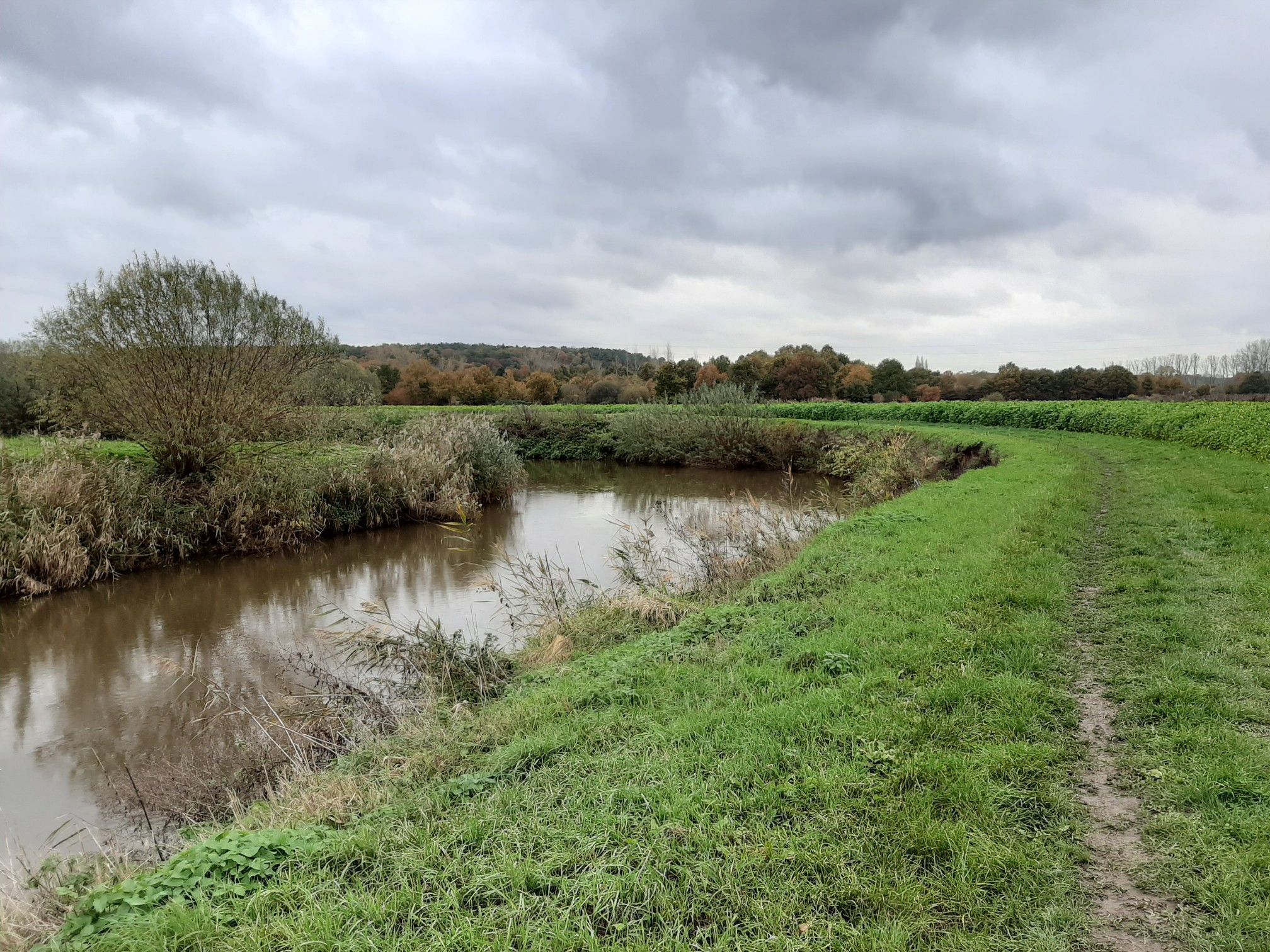 Demer river rillaar