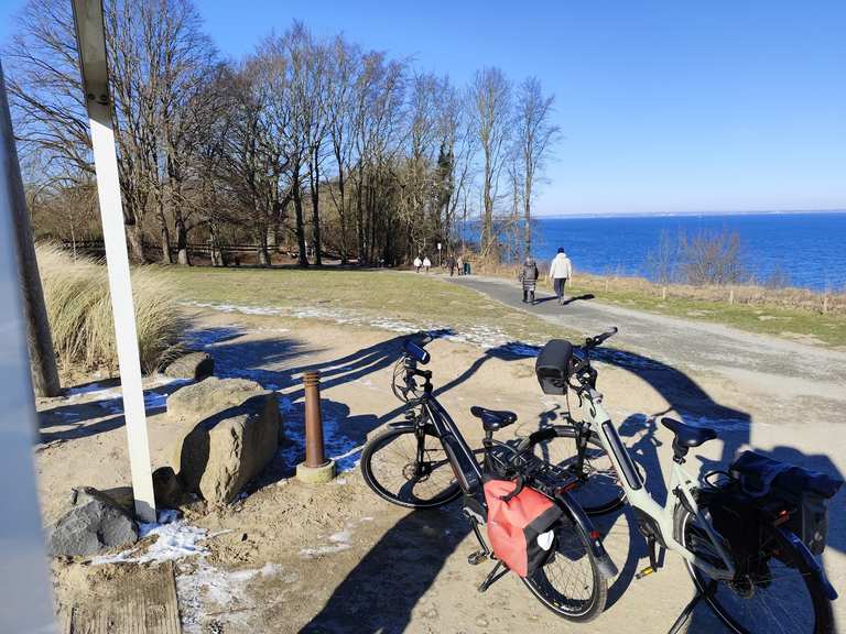 fahrradständer duplexgarage BETA BASIS mit individuell wählbaren Stellplätzen für F – Rollerstop Rollerständer helmet_upsell 3L Blu-Ray Aufbewahrung - Wähle Deine Größe:One Size
