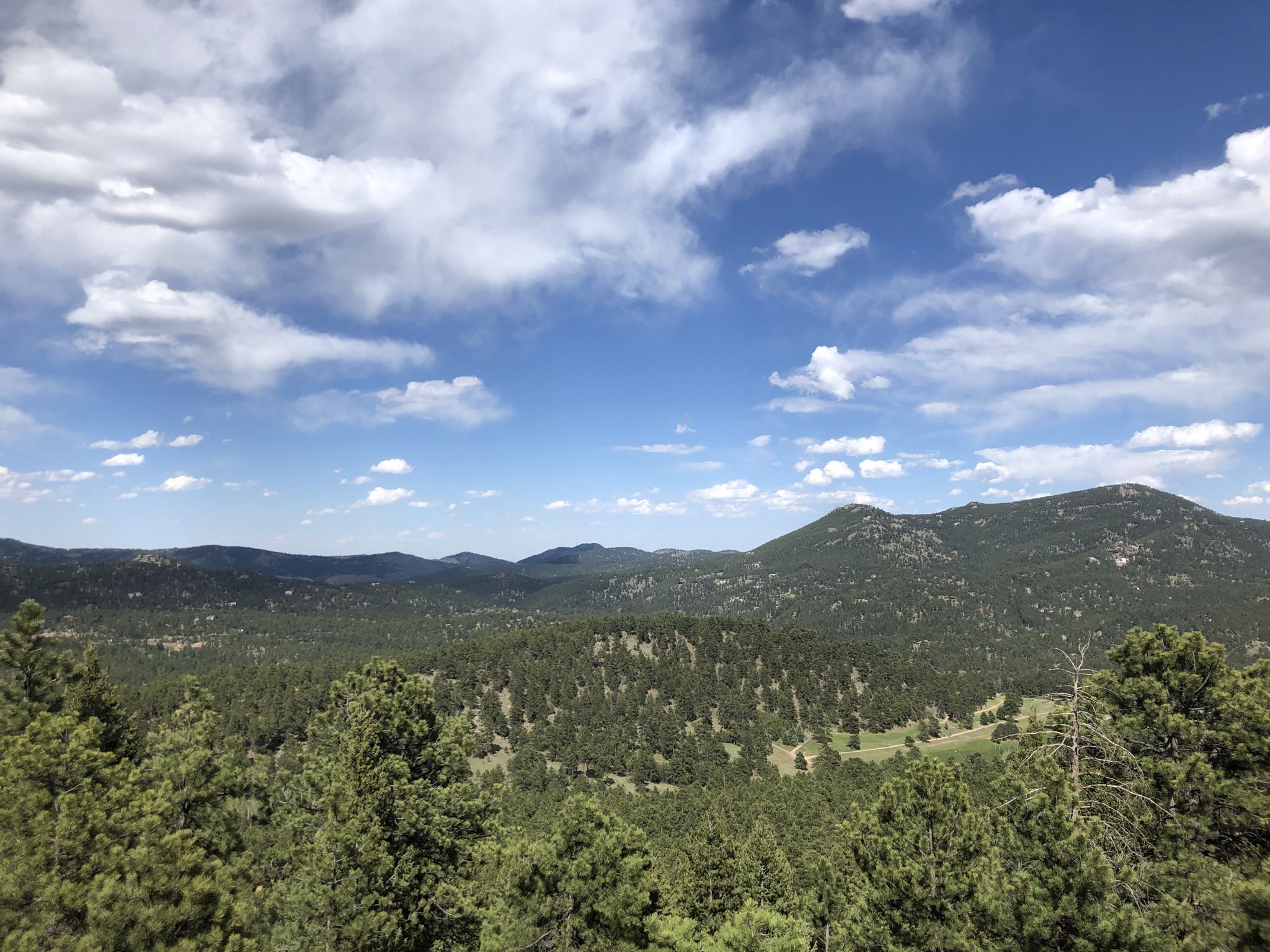 Vast mountain landscape covered in green trees under a bright, cloudy sky. - Hidden Fawn Loop Trail