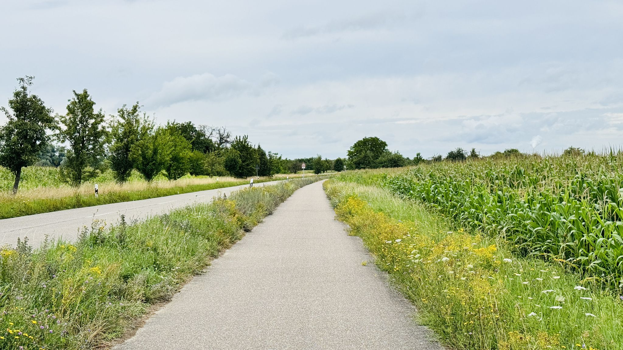 Asphaltierter Radweg -lässt sich mit viel Gepäck deutlich leichter und schneller fahren.