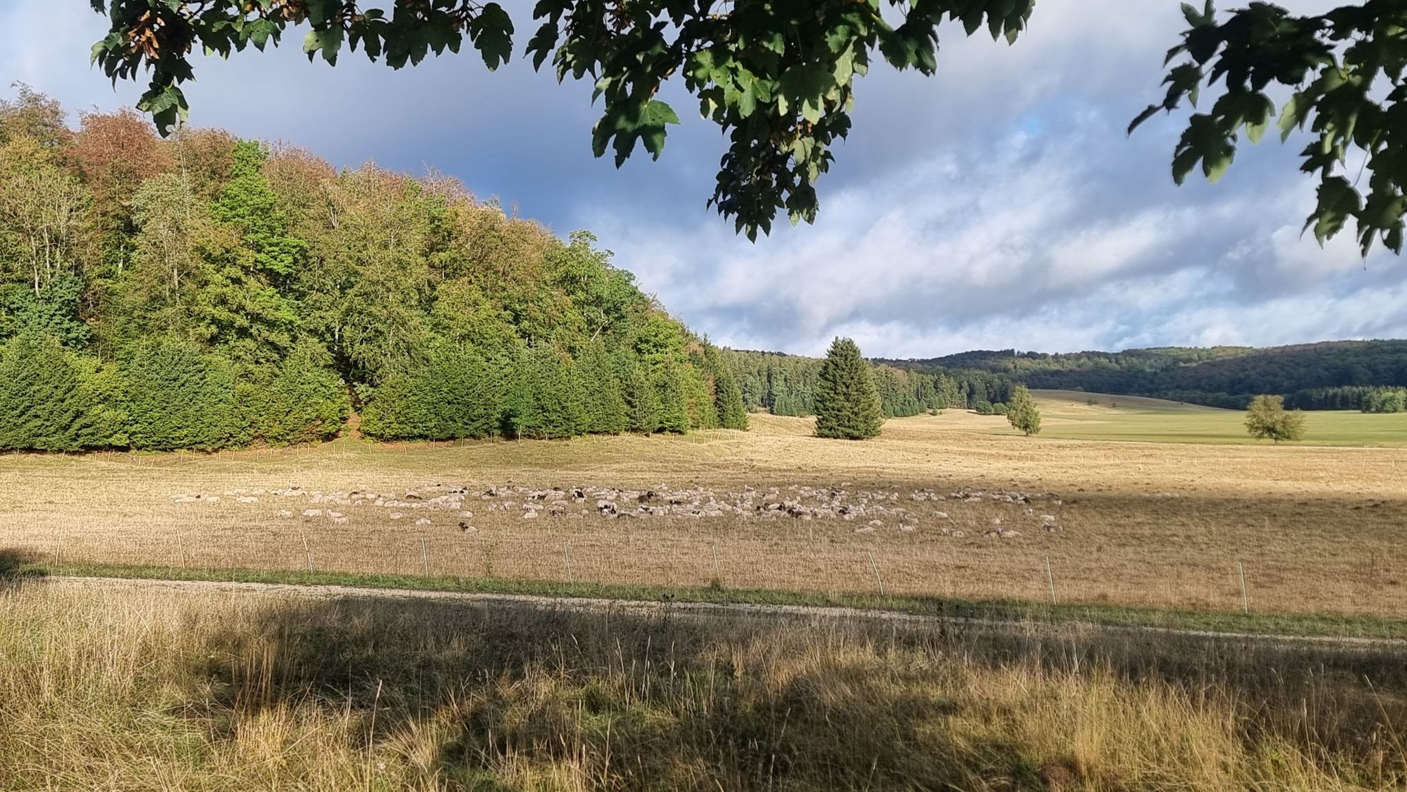 Die Landschaftspfleger haben Pause