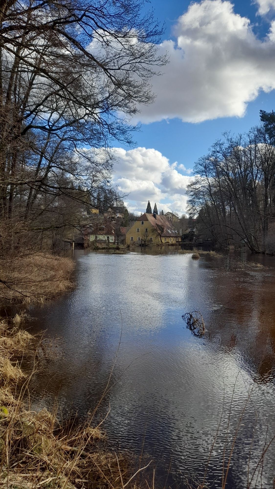 Drahthammer