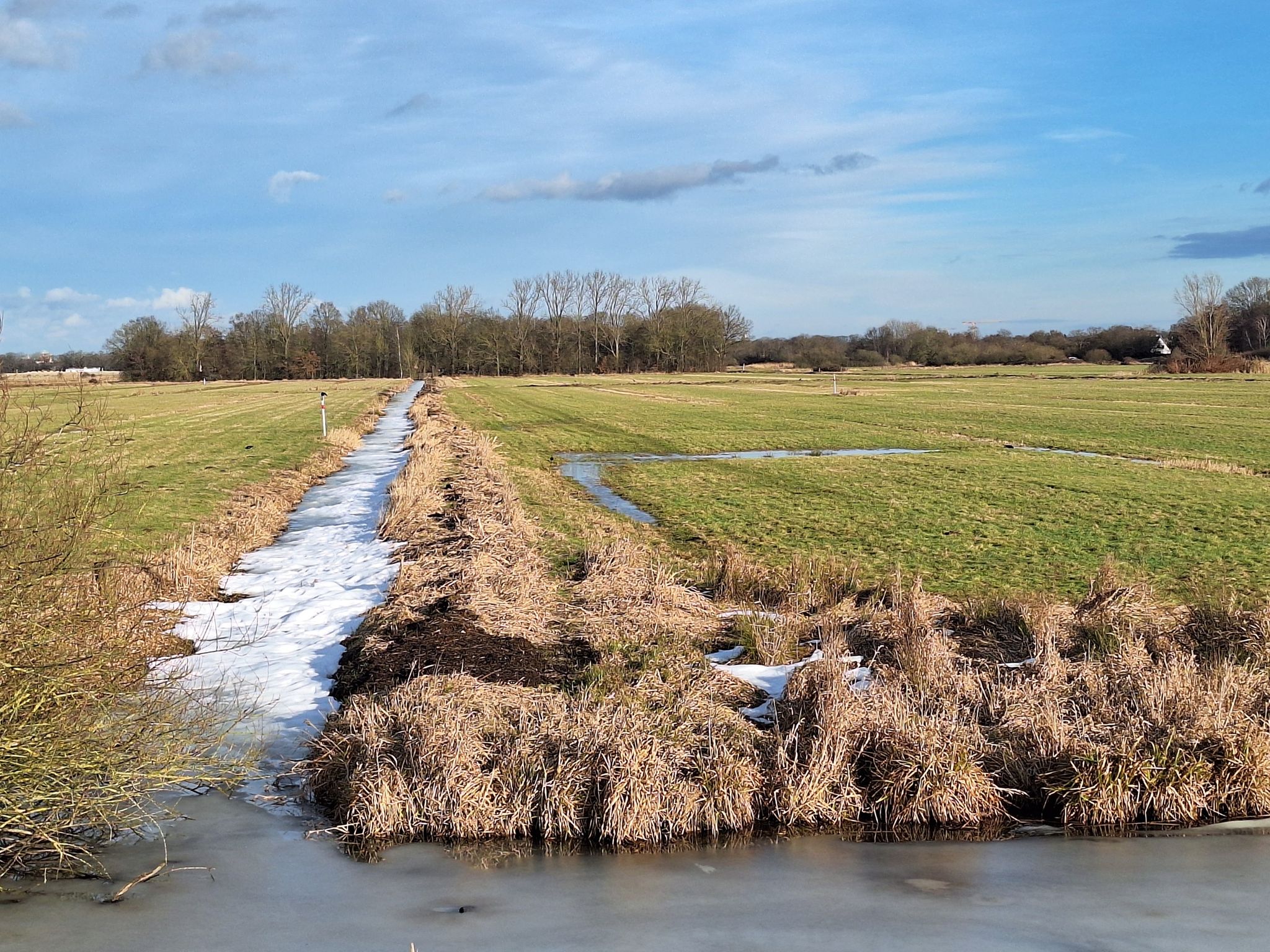 Die Reste...❄️
