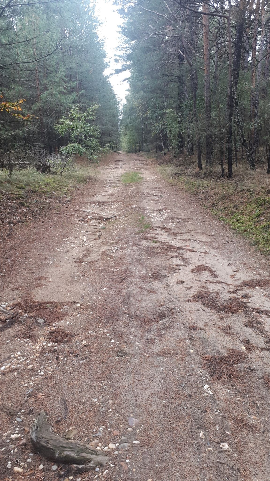 zT. sehr sandig