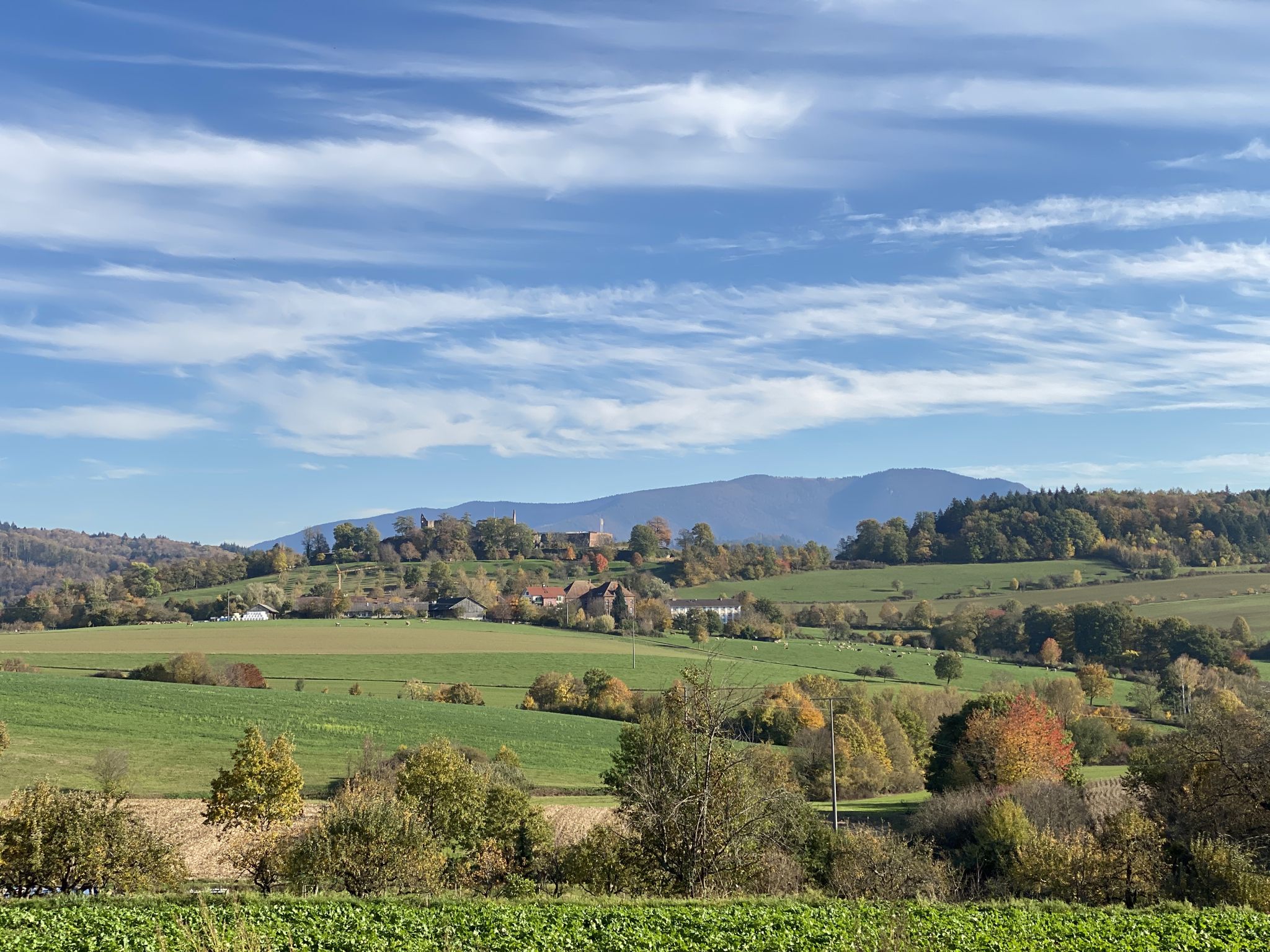 Blick auf die Hochburg