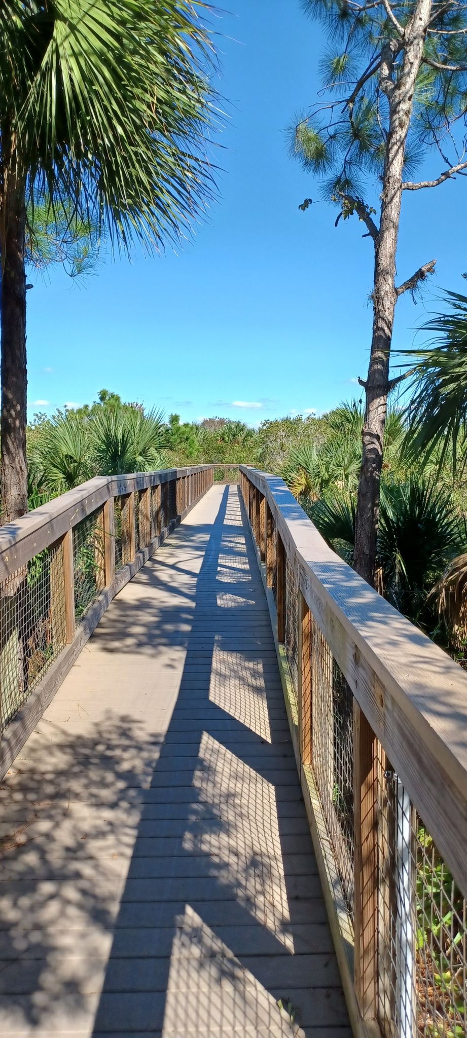 Sunny wooden boardwalk through tropical foliage with strong shadows. - Casey Key Beach loop from Vamo