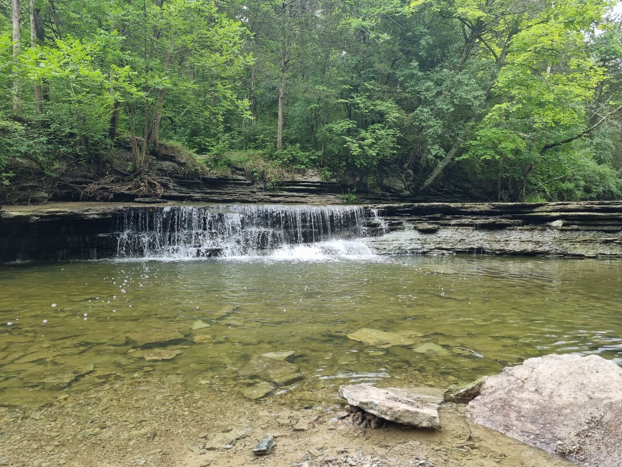 Small waterfall over layered rocks into a clear creek, green trees. - Hiking loop from Caesar Creek Lake Dam