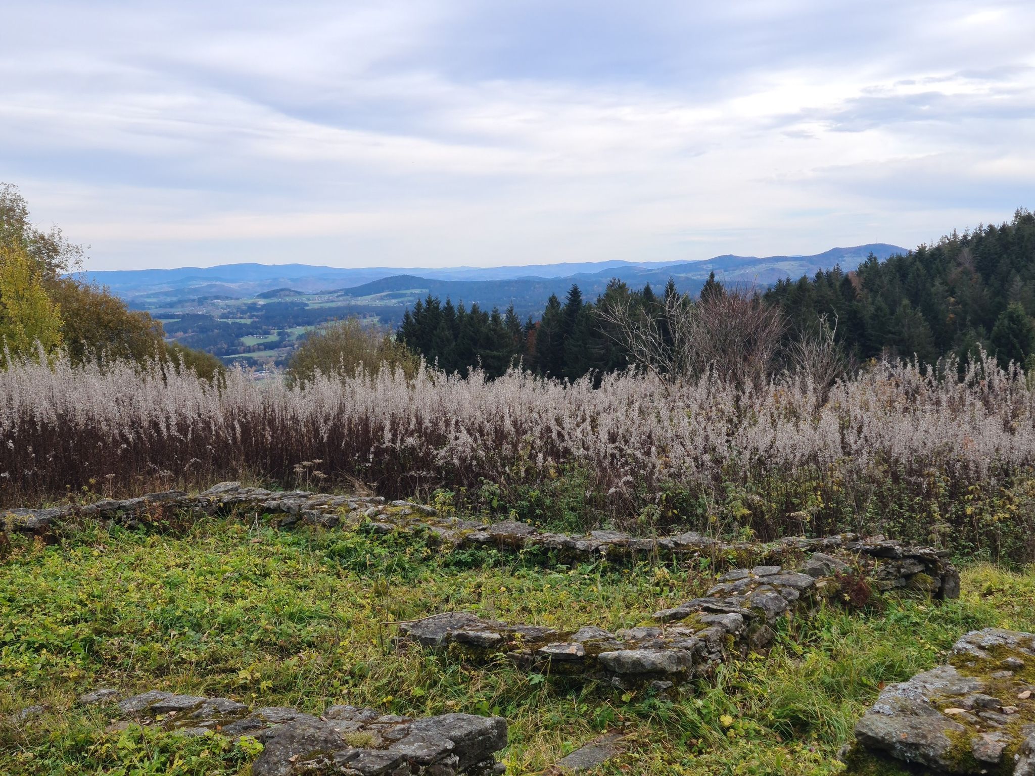 Grundmauern von Bauerhäusern in Oberbreitenau
