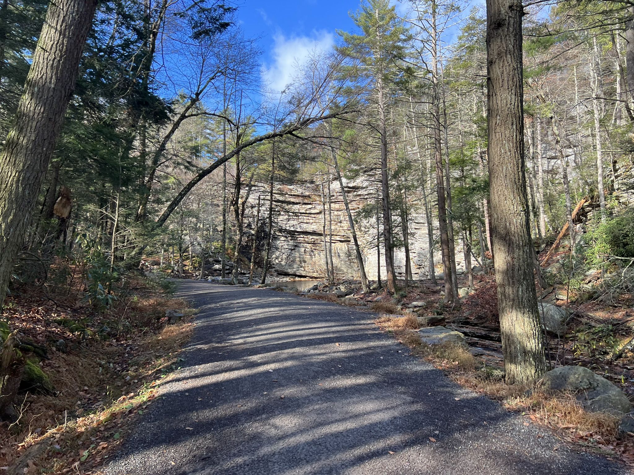 Paved path winding through a dense forest with rocky cliffs on a sunny day. - Awosting Falls – Overlook loop from Mohonk Preserve