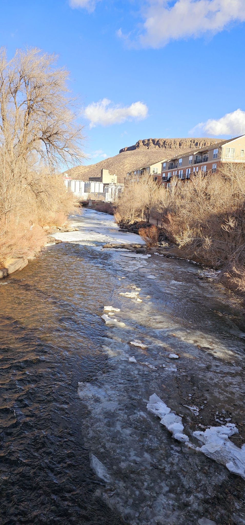 Partially frozen river flowing past bare trees and distant buildings under a blue sky. - Tucker Gulch – Golden City Brewery (GCB) loop from Applewood