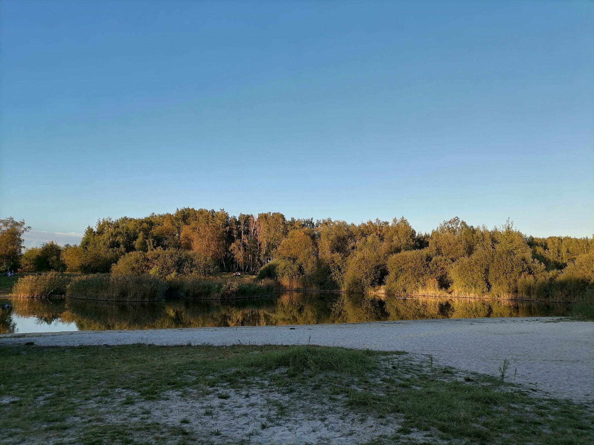 Staw na Lublinkiu