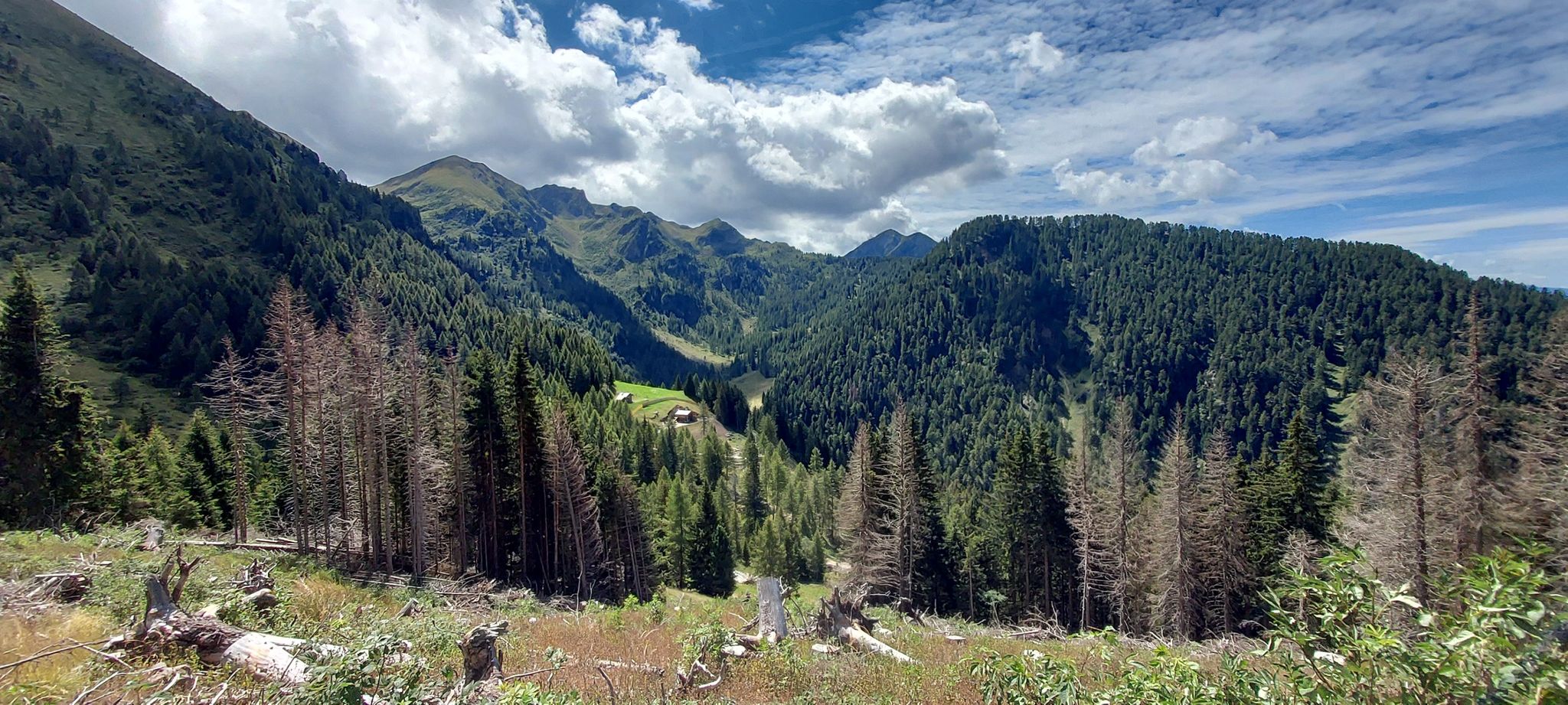 Panorama