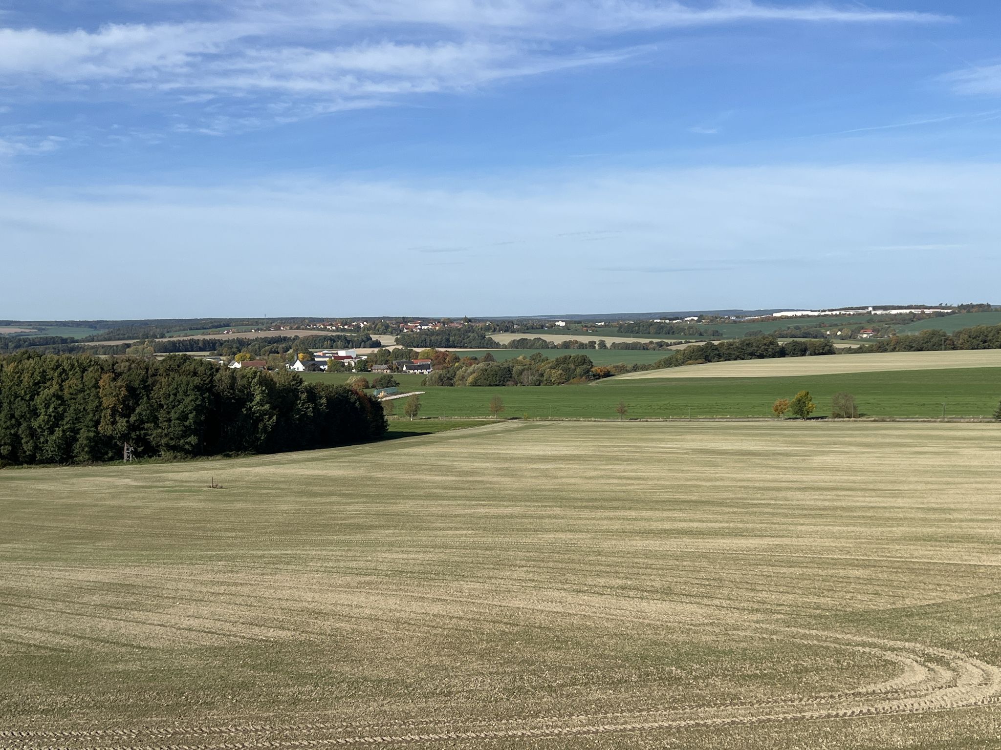 Blick vom Aussichtsturm "Kreuztanne"