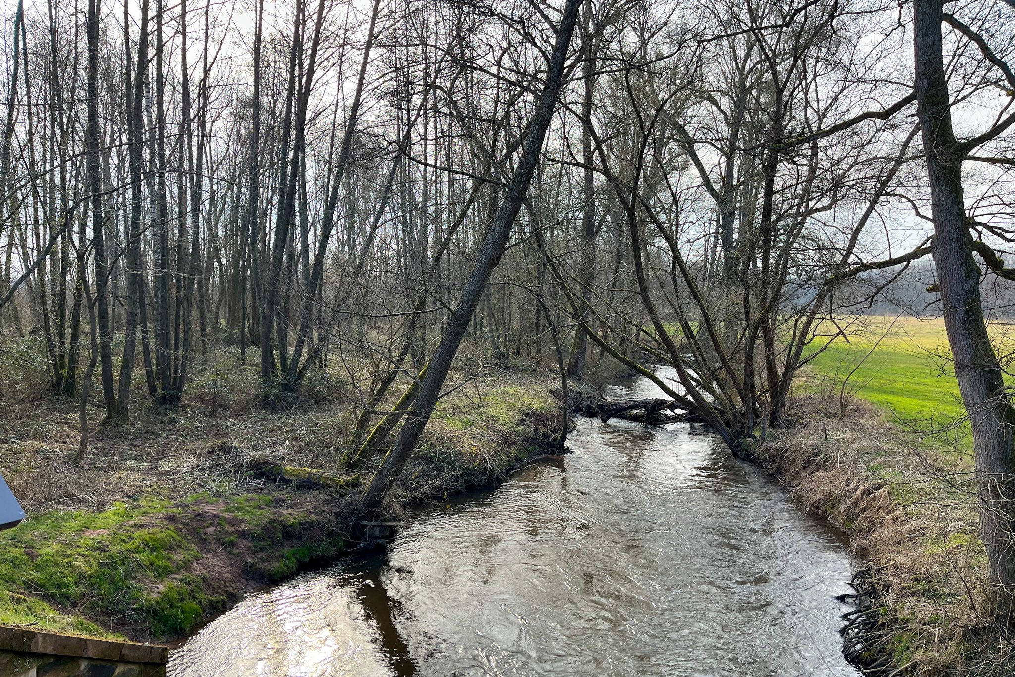 Die Lauter bildet die hier die Grenze zwischen Pfalz und Elsaß