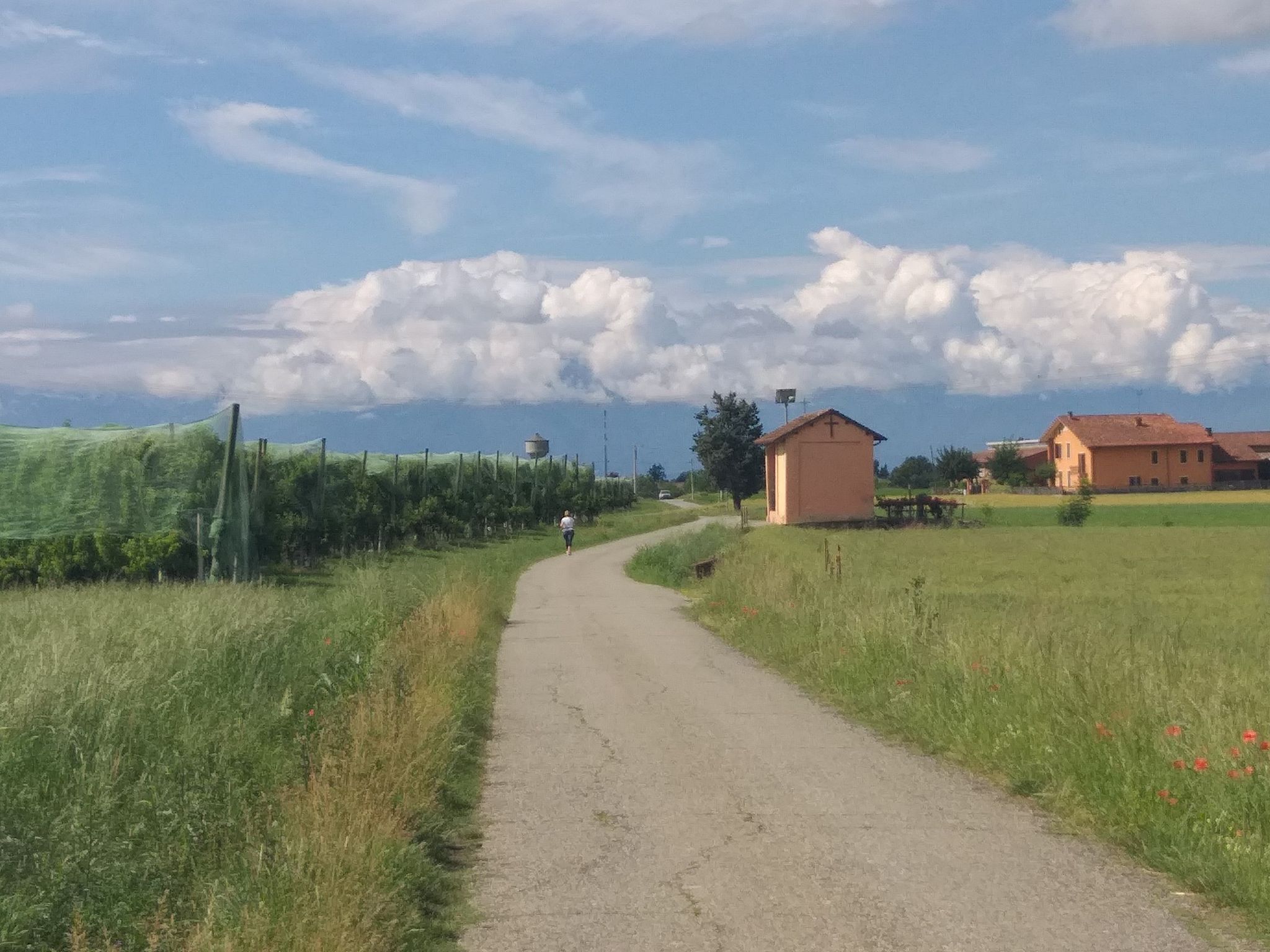 Strada S. Lucia (Fossano)
