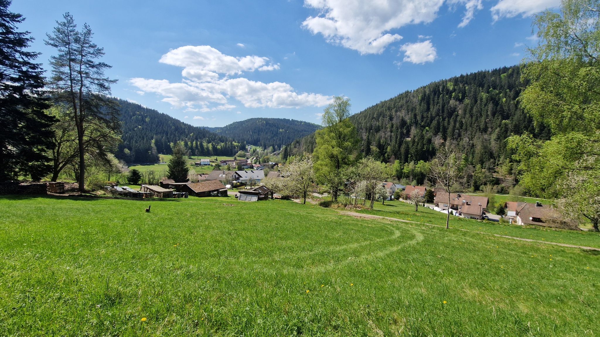 Mittelenztal