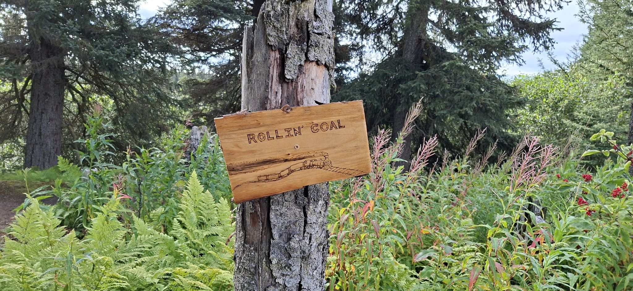 Wooden sign 'ROLLIN' COAL' on a tree trunk amidst lush green forest foliage. - Diamond Creek Trail