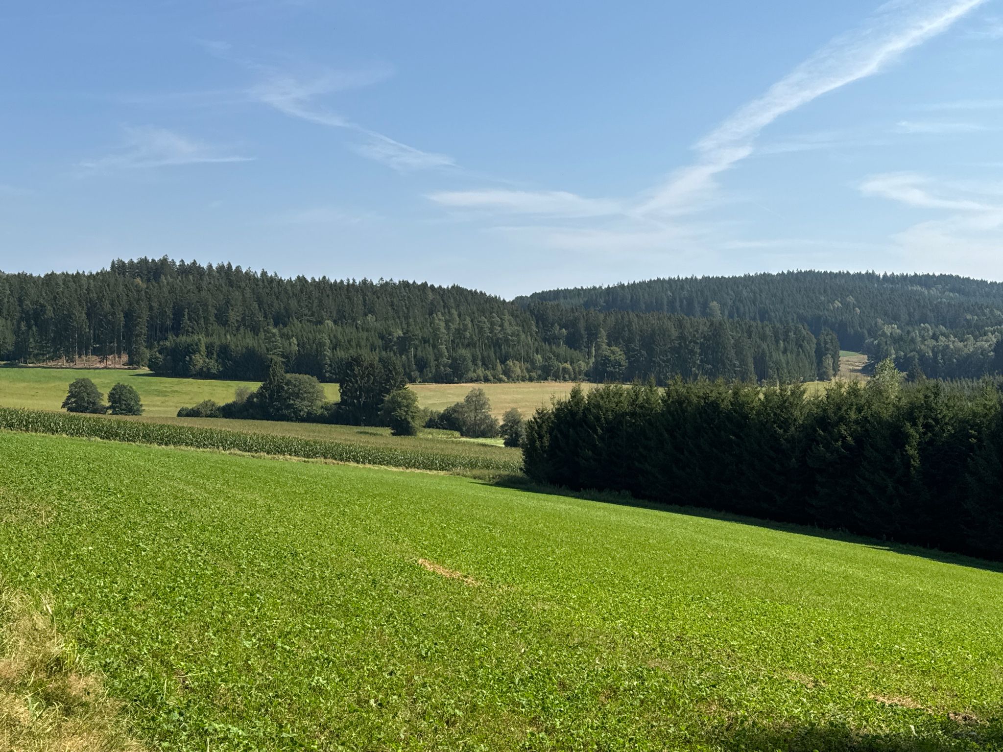 Wandern im Frankenwald, immer wieder ein Hochgenuß