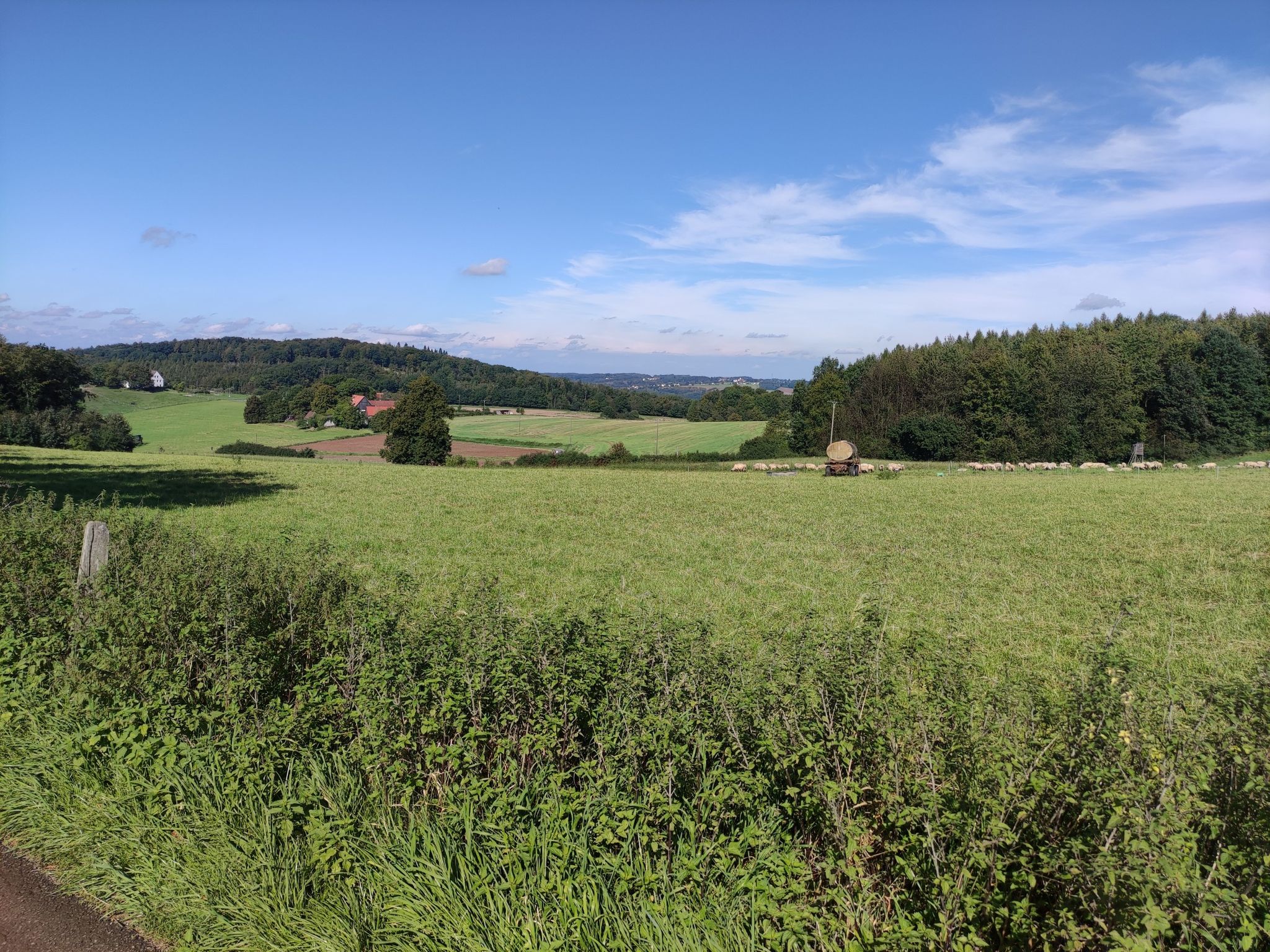 Blick zum Ruhrtal