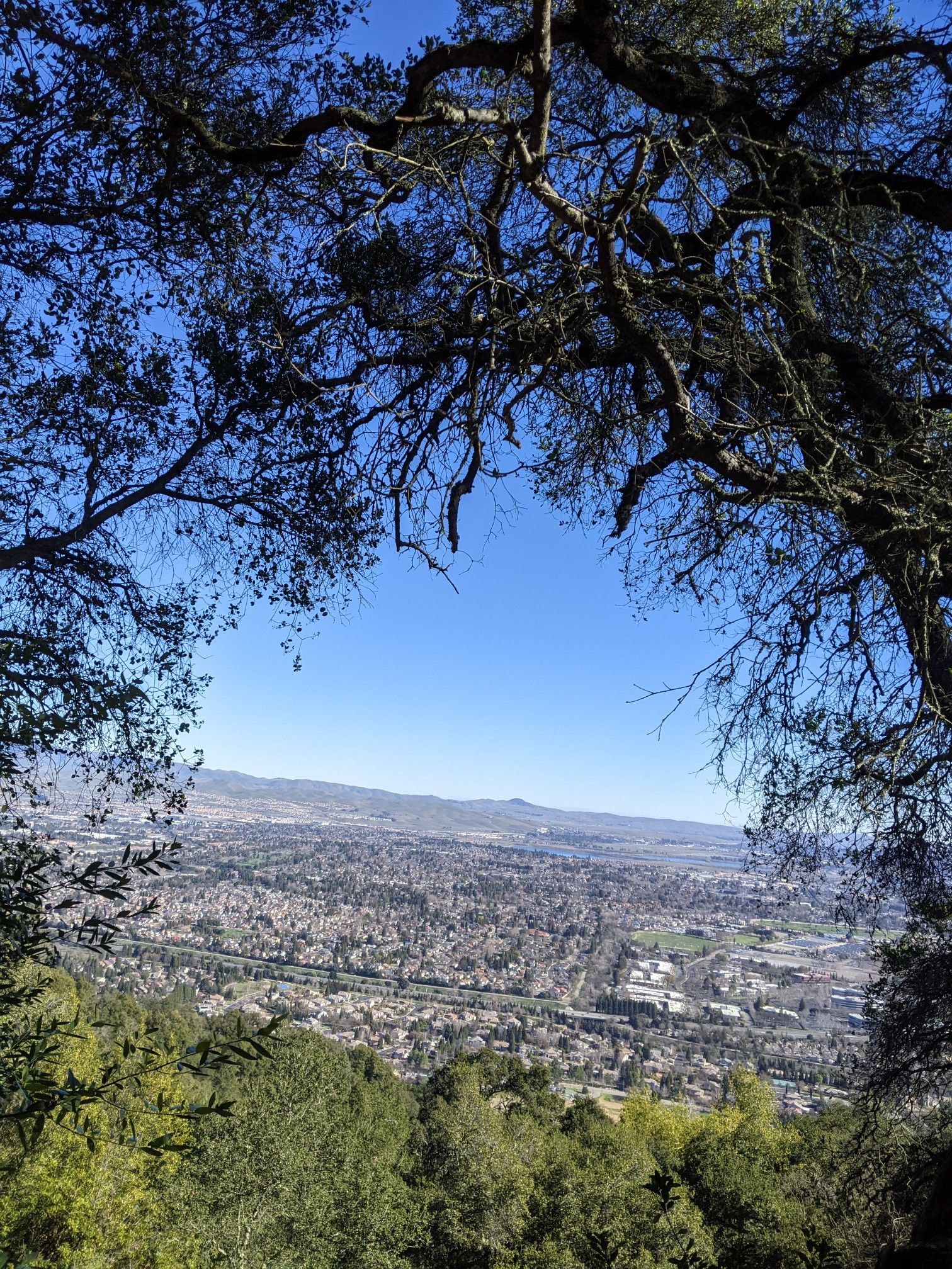 A city and distant hills are framed by dark tree branches against a blue sky. - Courdet Trail